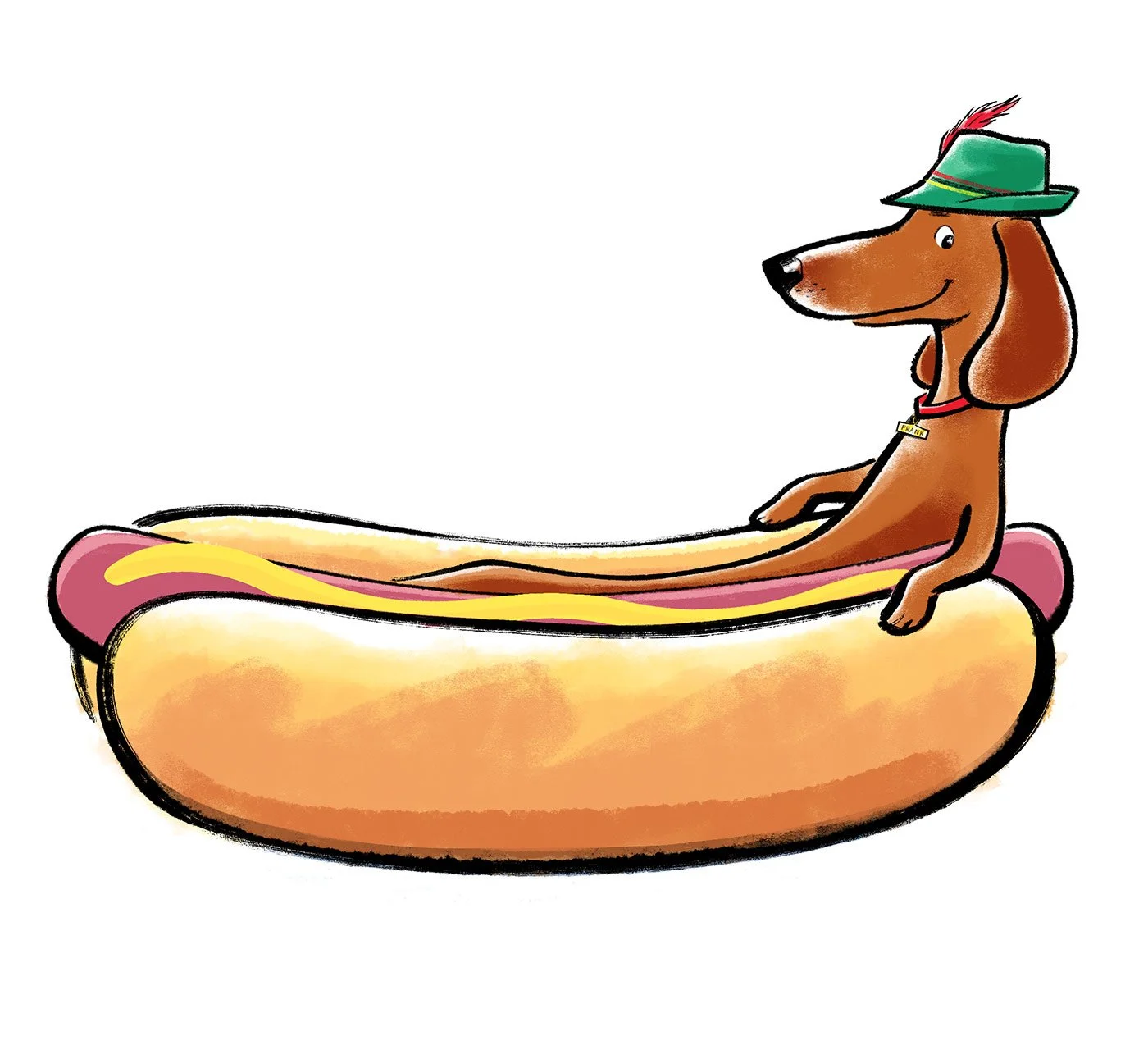  click upper right corner of images to enlarge   above:  the narrator of the story, Frank De Wienerdog, sitting inside a hot dog bun.   HOT DOG! The History of America’s Favorite Sausage  -written by  Christine Van Zandt  &amp; illustrated by  Steven