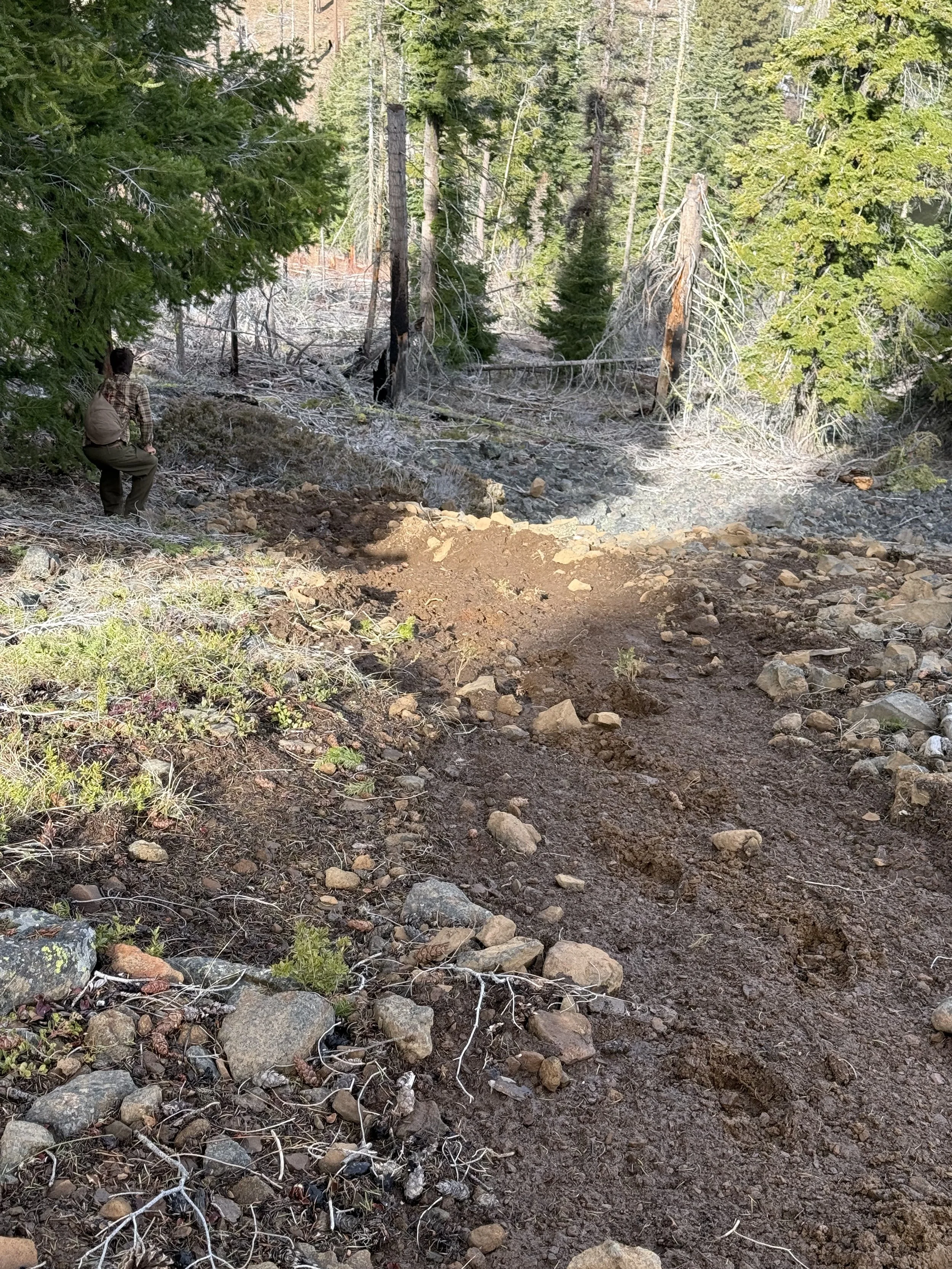 Sept 10th or 11th Trailing Animals Course