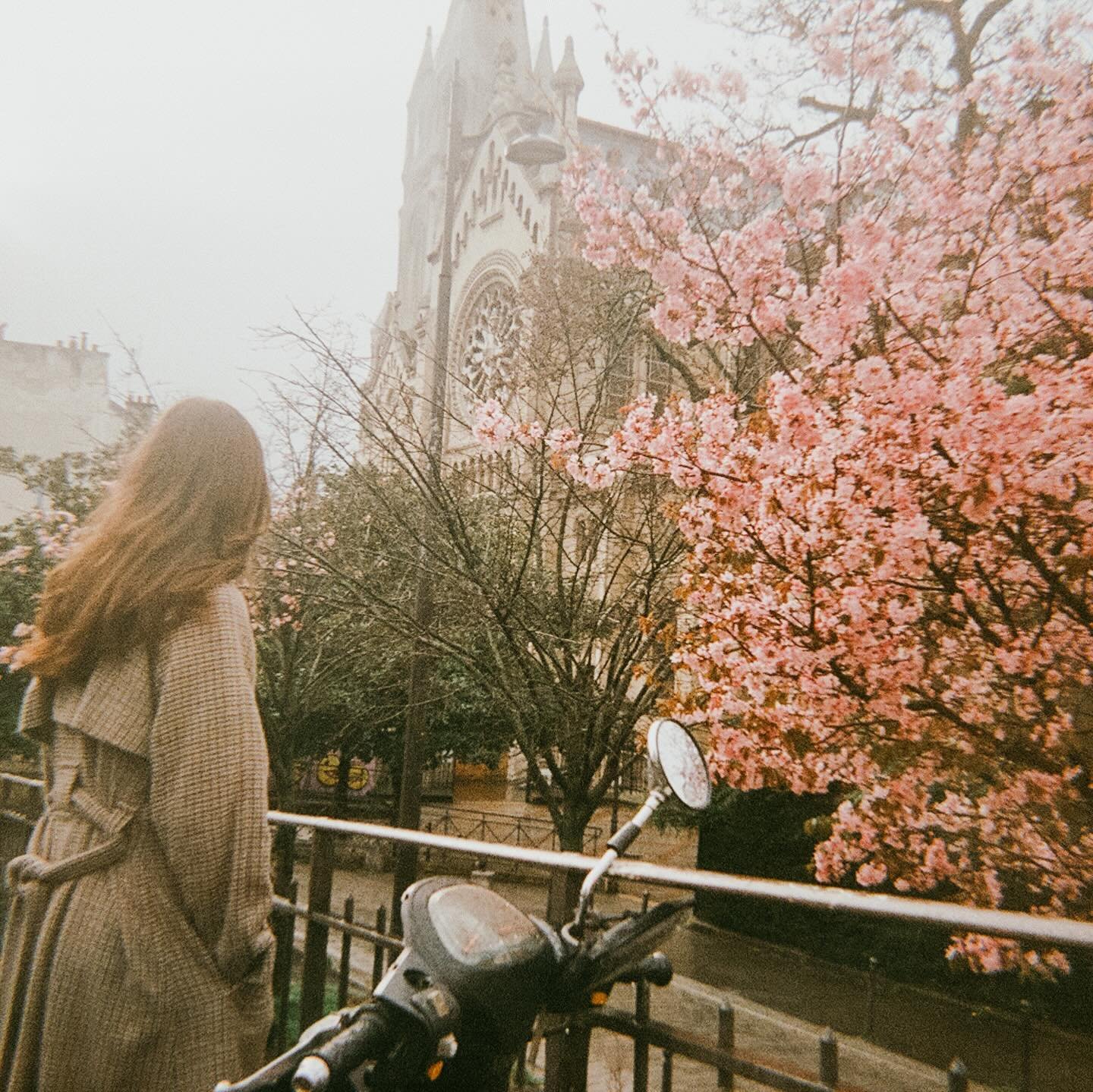 .
spring and everything but also, paris. [film]