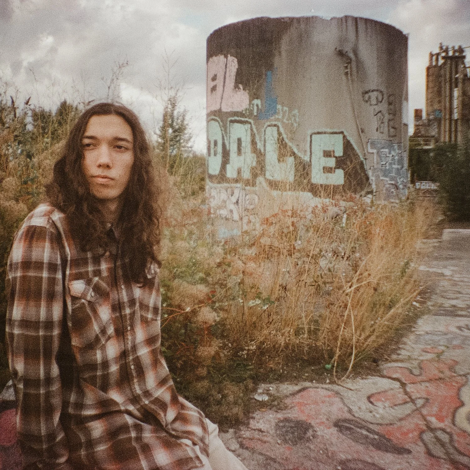 molly6-1.jpg