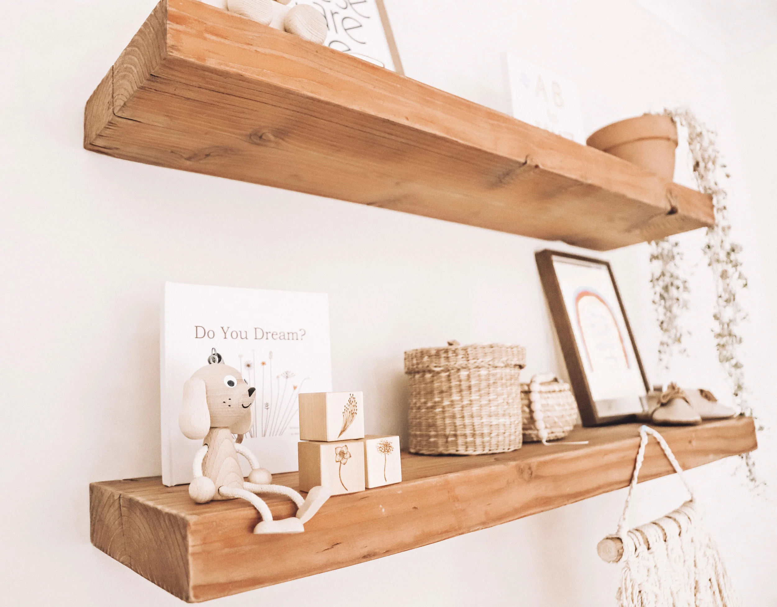 SHELF.jpg
