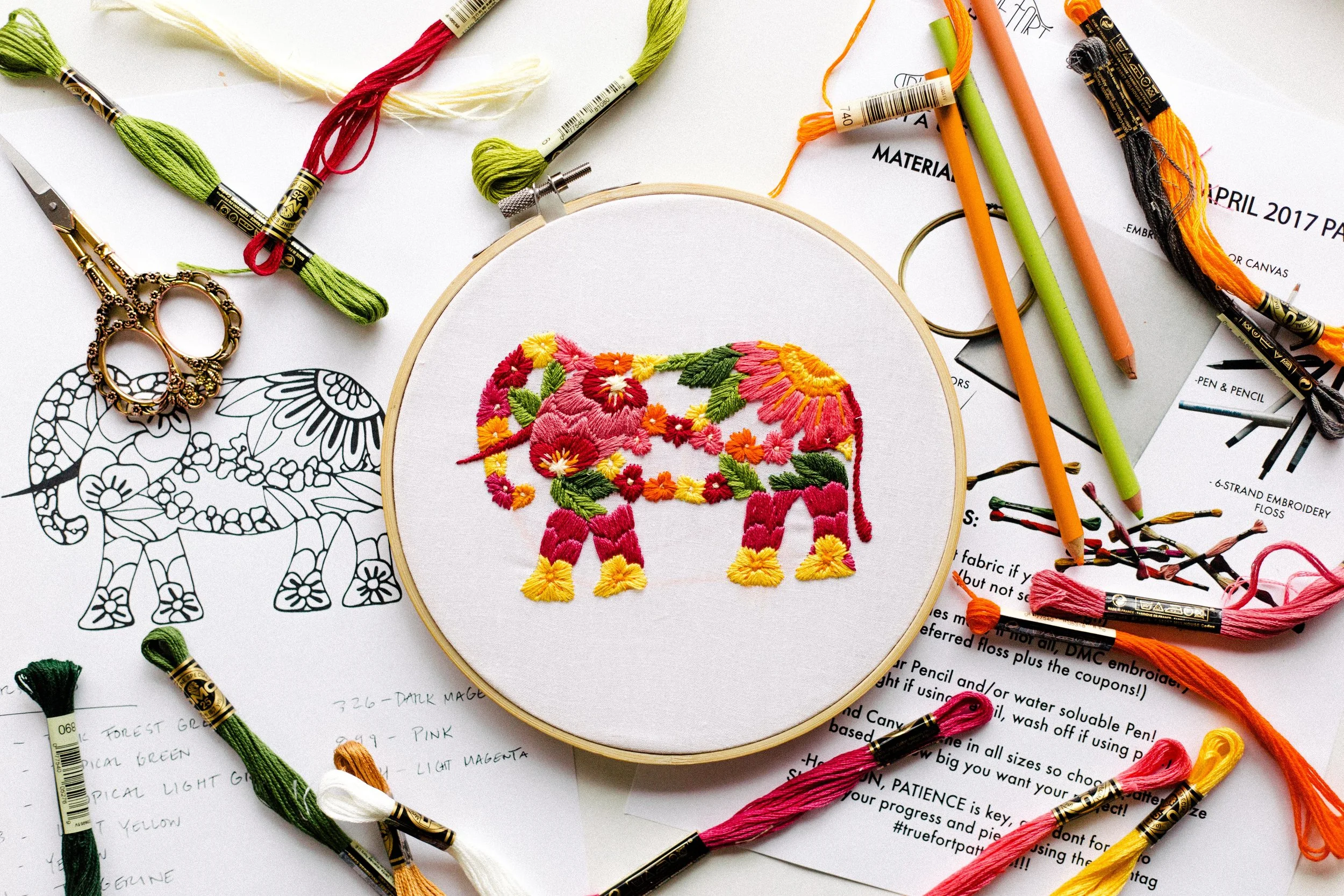 FLORA ELEPHANT 1.jpg