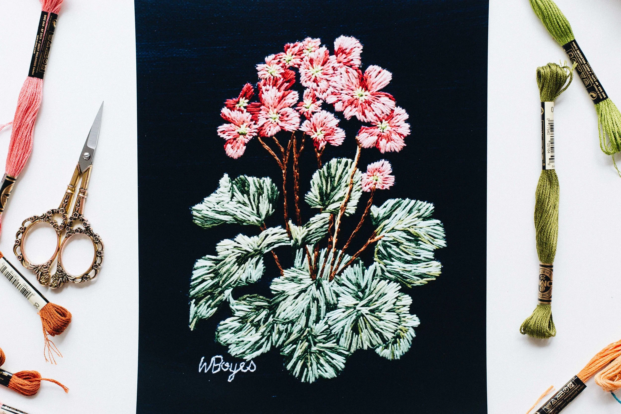 BOT SERIES .003 PRINT 2.jpg