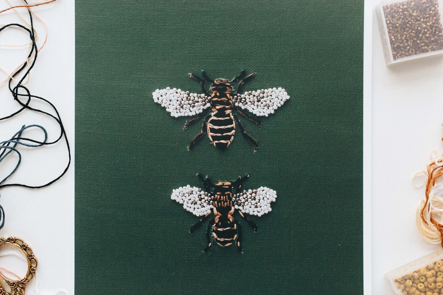 LEAFCUTTER-BEES-PRINT-2-WEB.jpg
