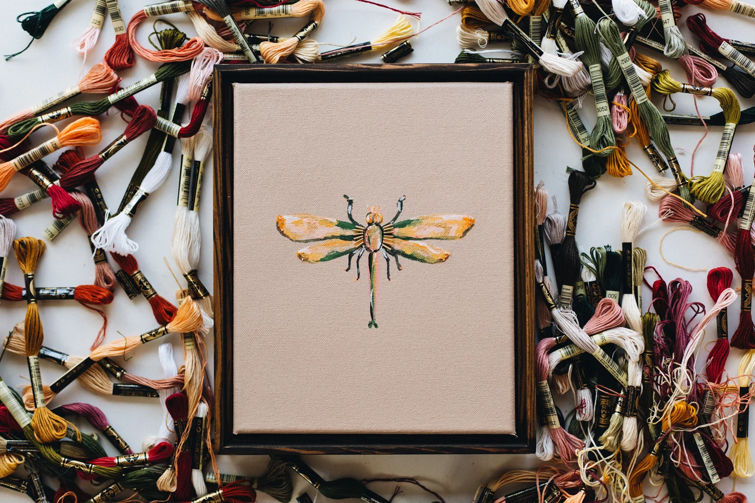 DRAGONFLY-STUDIES-.001-1-WEB.jpg
