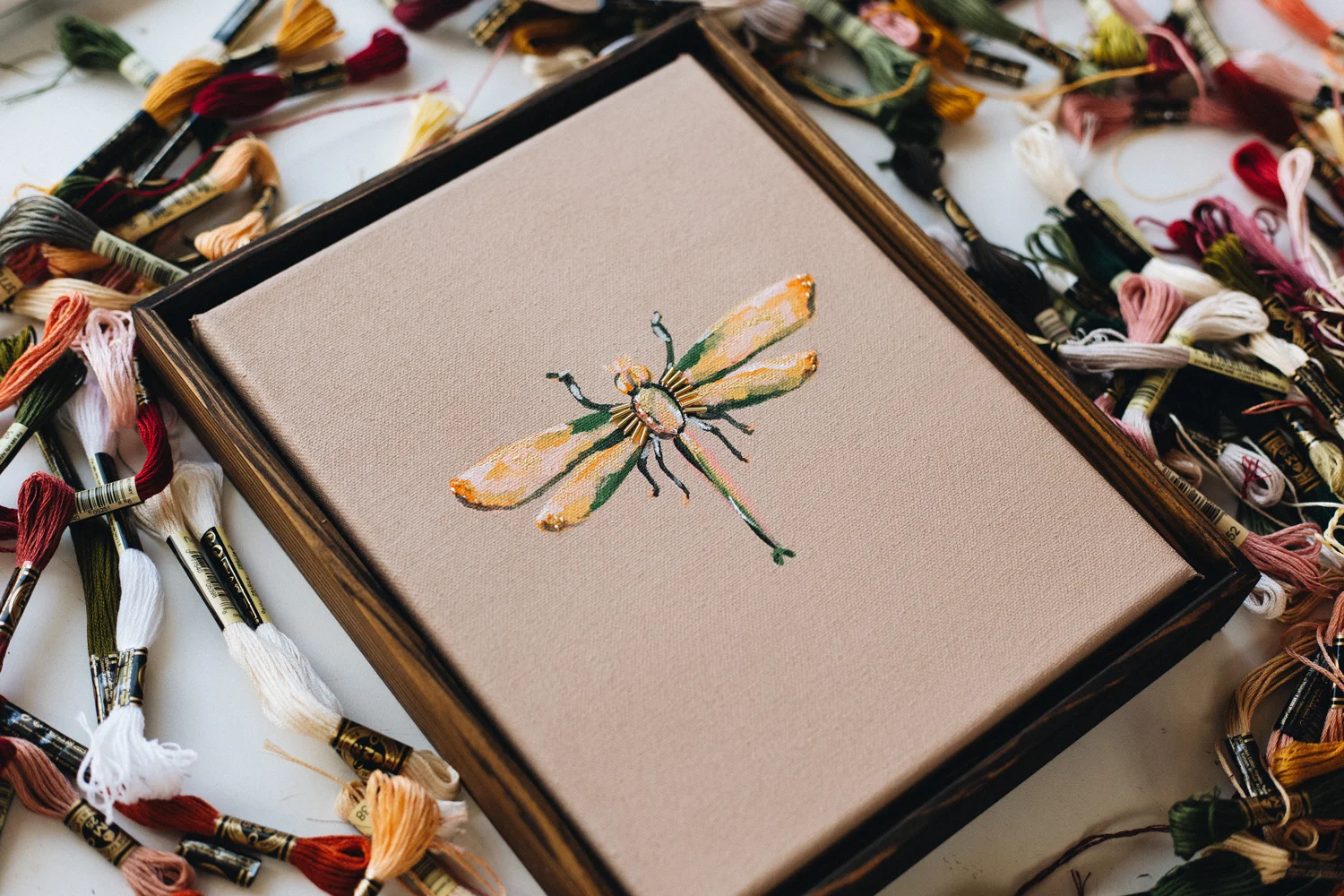 DRAGONFLY-STUDIES-.001-3-WEB.jpg