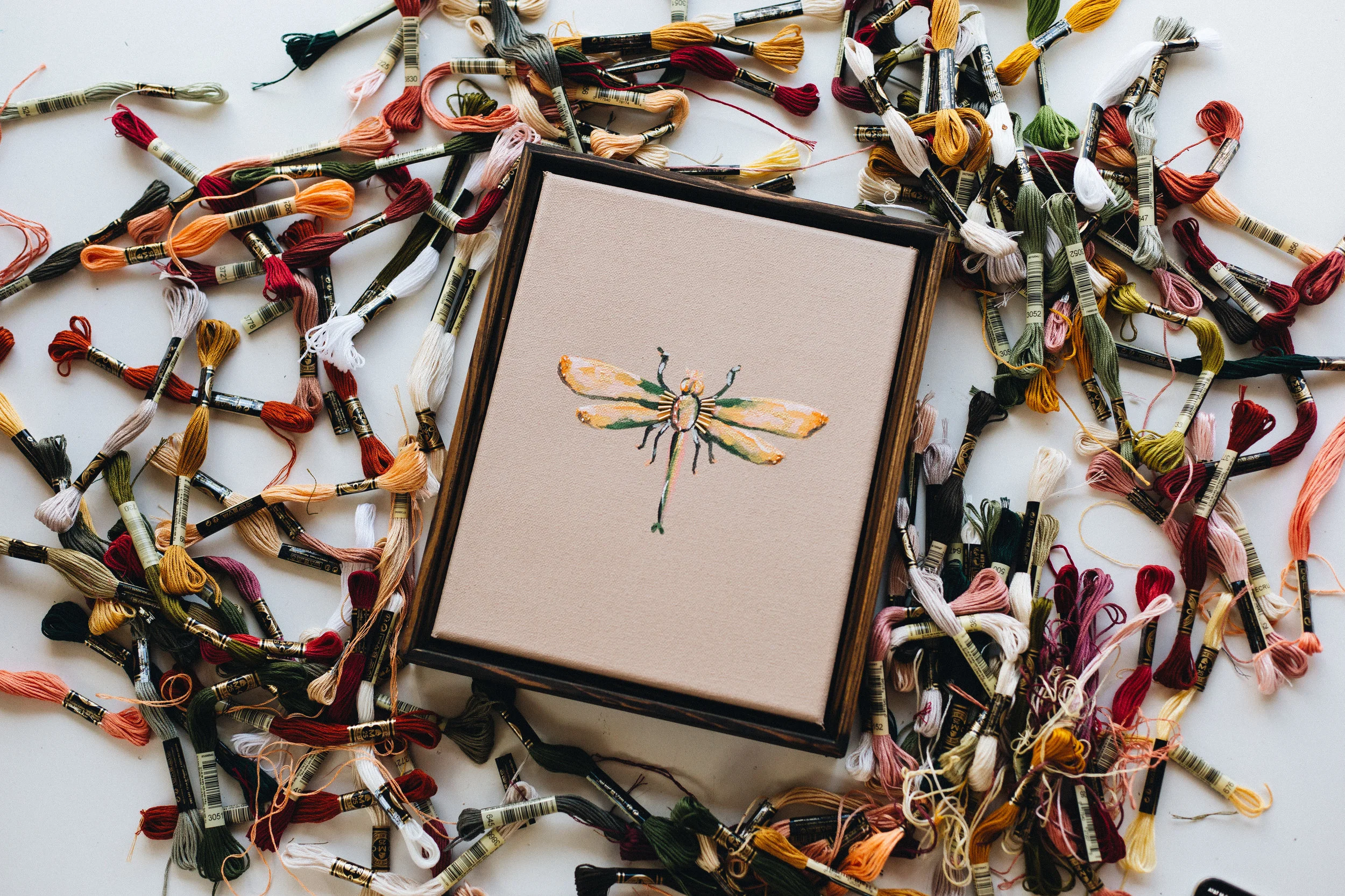 DRAGONFLY STUDIES .001 5.jpg