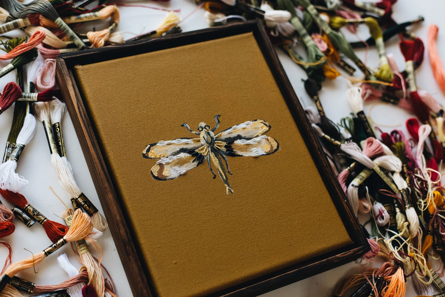 DRAGONFLY-STUDIES-.004-3-WEB.jpg