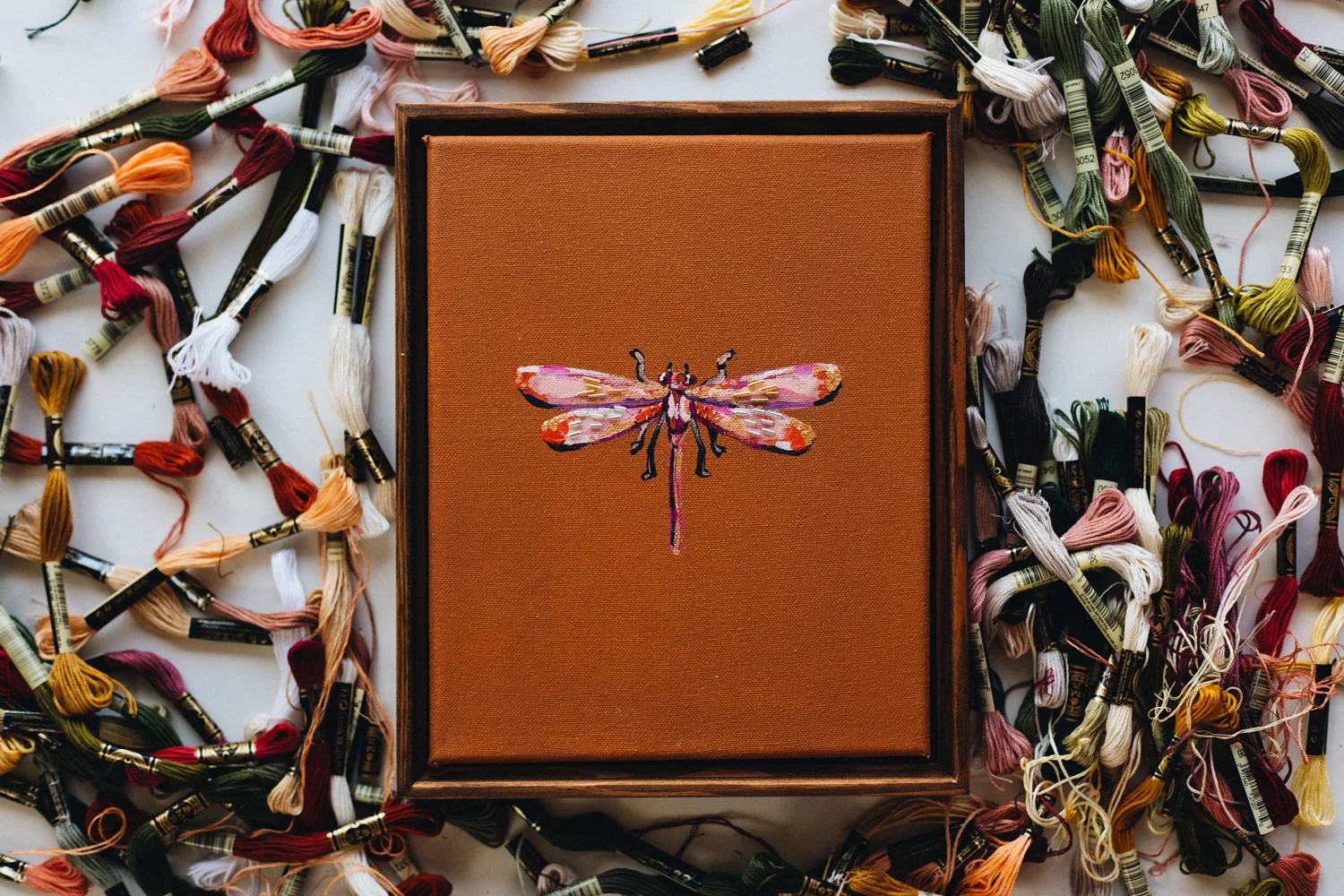 DRAGONFLY-STUDIES-.003-WEB.jpg