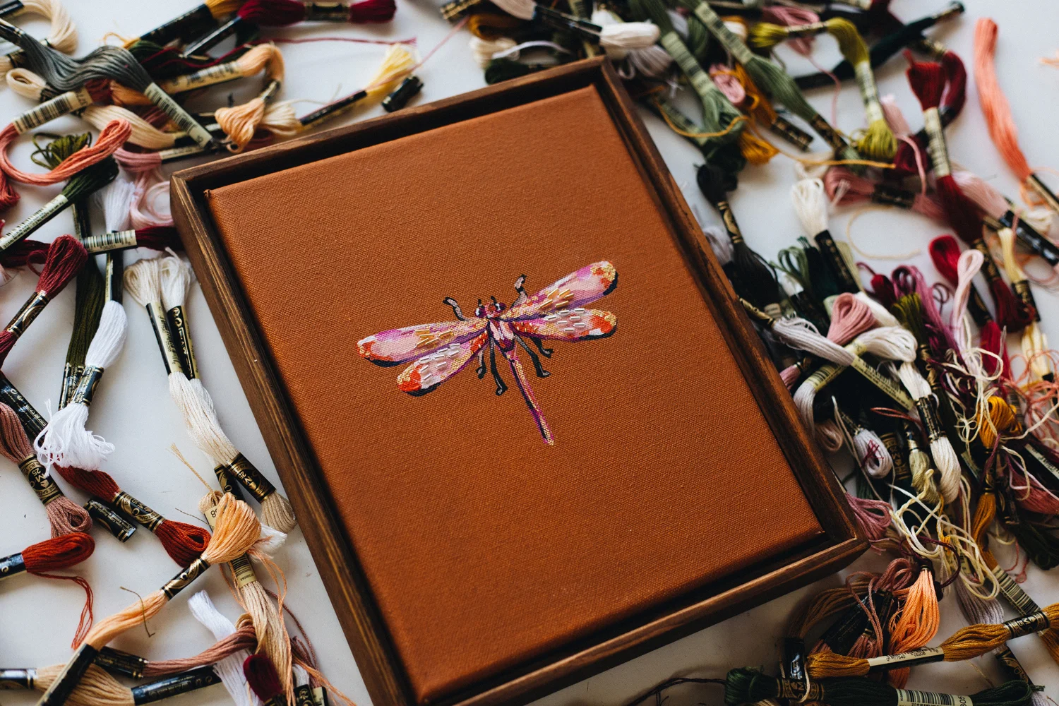 DRAGONFLY-STUDIES-.005-WEB.jpg