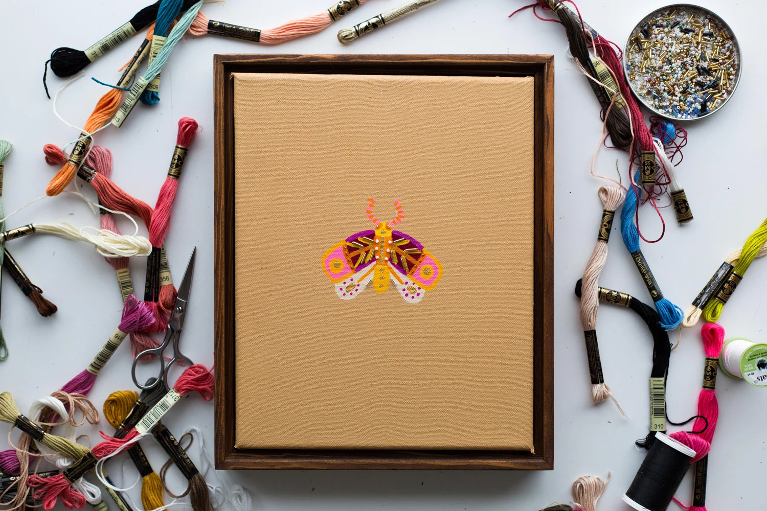 MOTH-STUDIES-.003-SUNSHINE-1-WEB.jpg