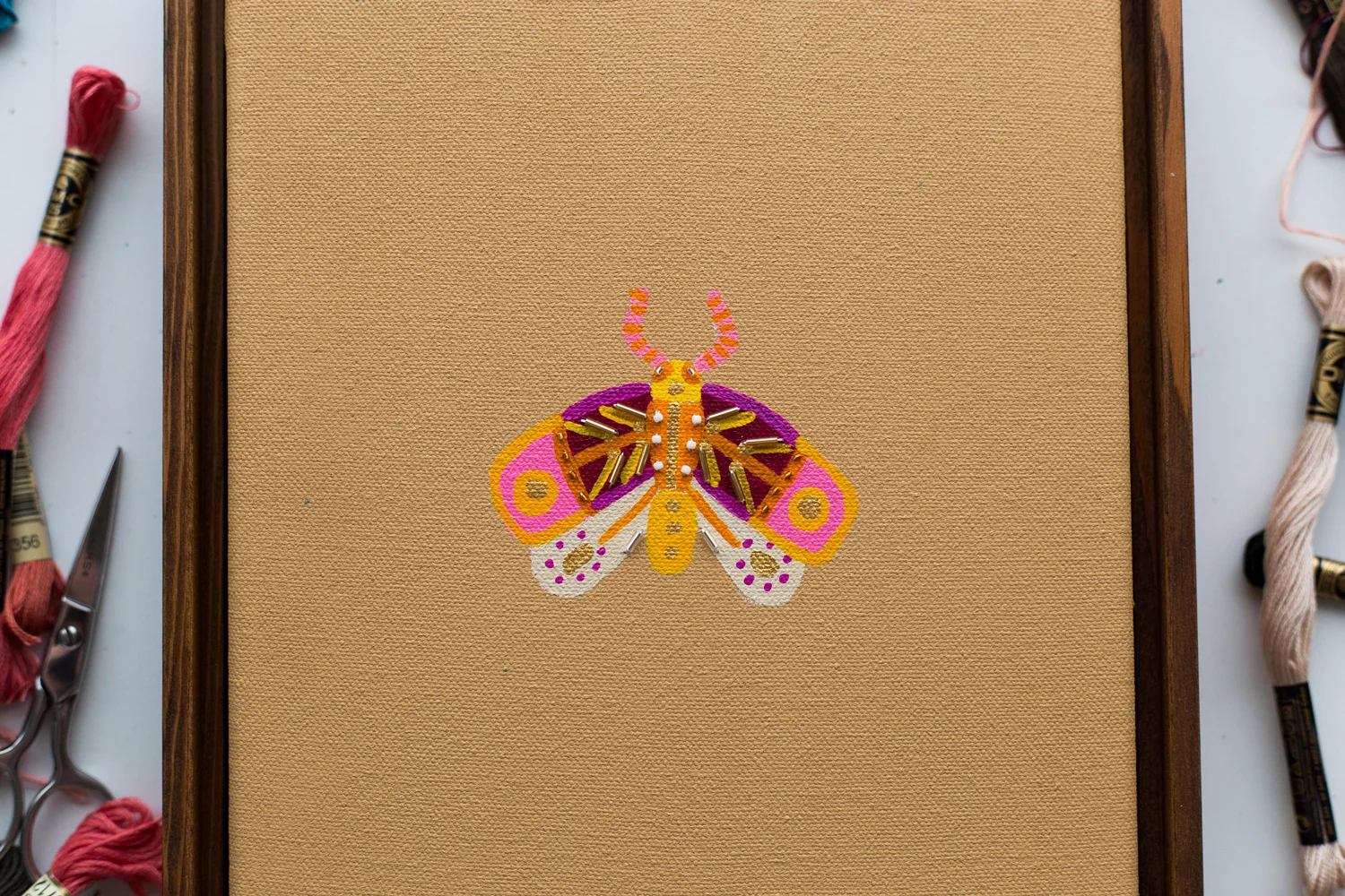 MOTH-STUDIES-.003-SUNSHINE-2-WEB.jpg