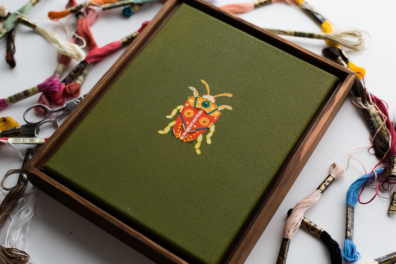 BEETLE-STUDIES-.002-IVY-4-WEB.jpg