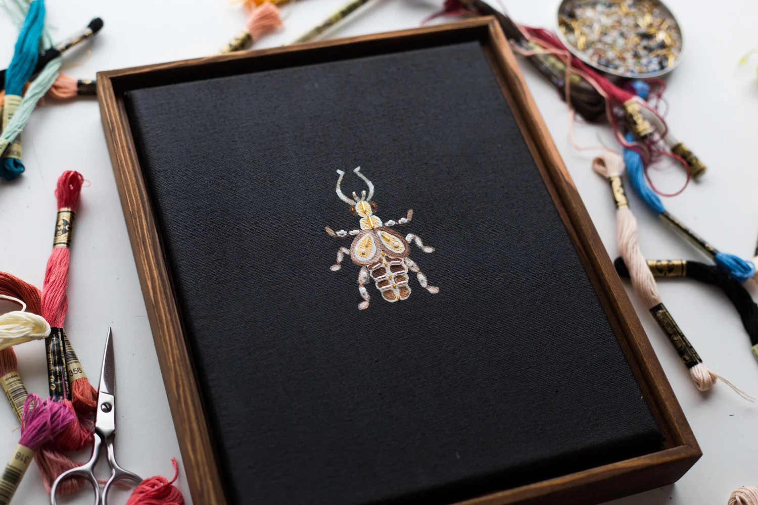 BEETLE-STUDIES-.003-DARK-3-WEB.jpg