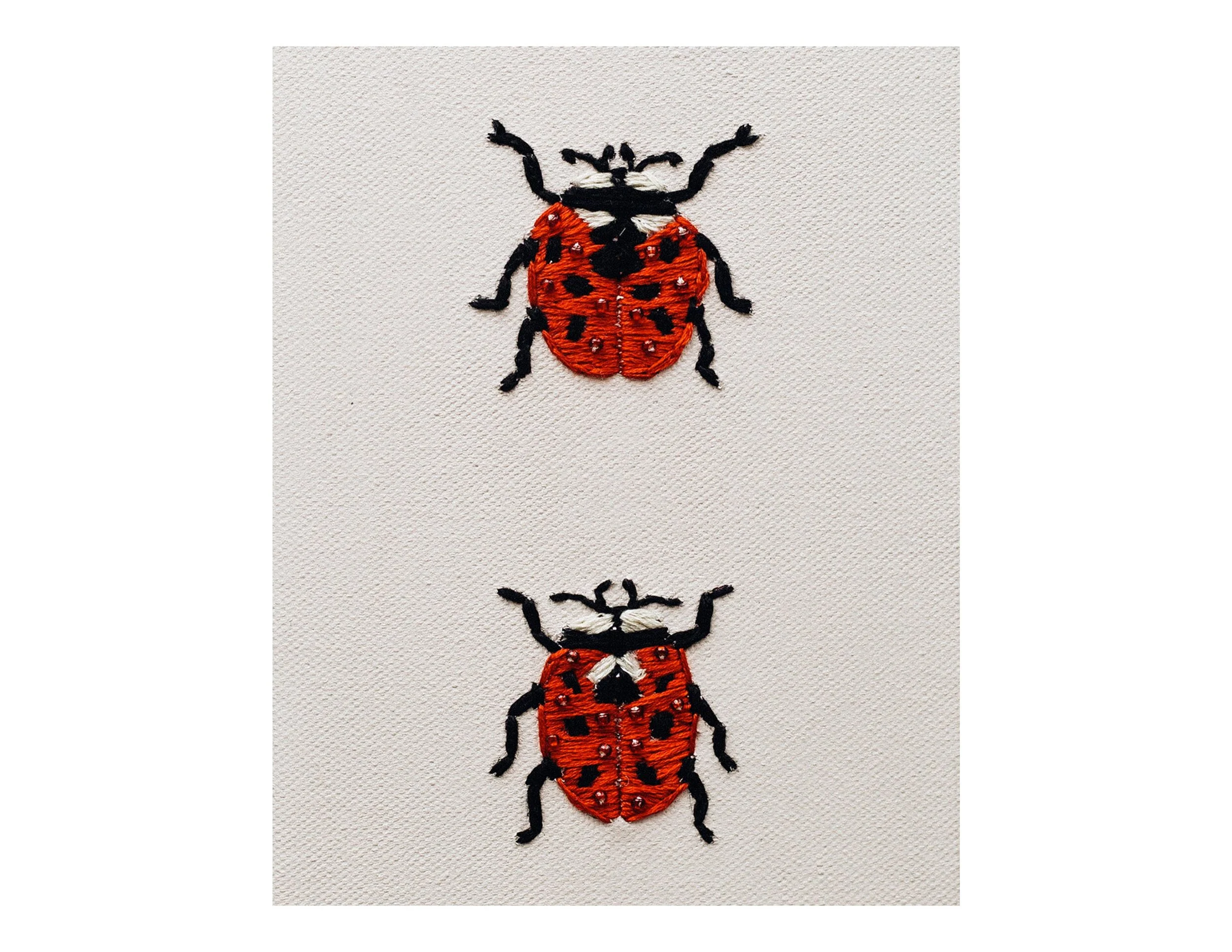 PRINT LA LA LADYBUGS.jpg