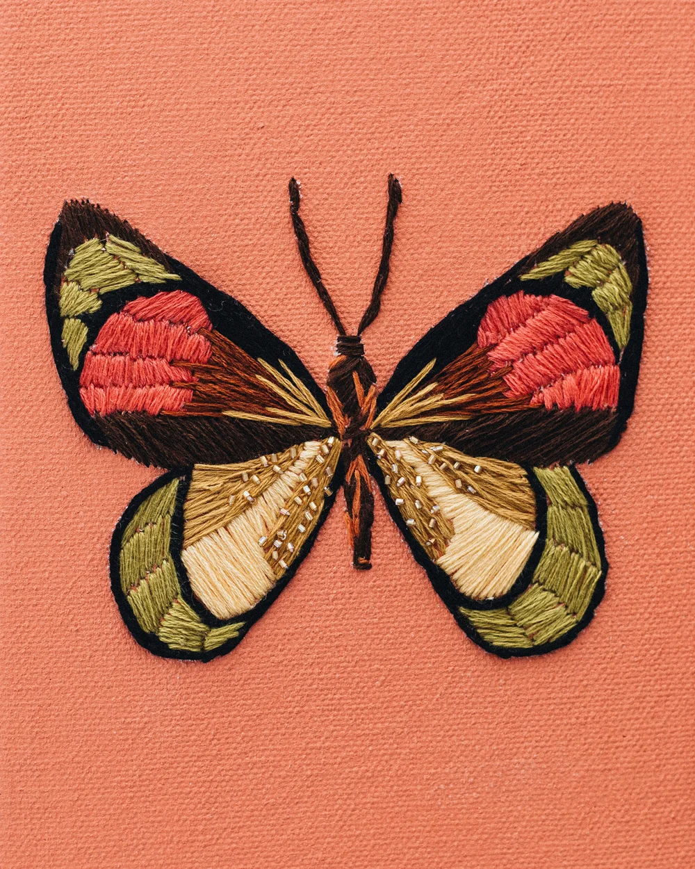 TROPIC-BUTTERFLY-WEB.jpg