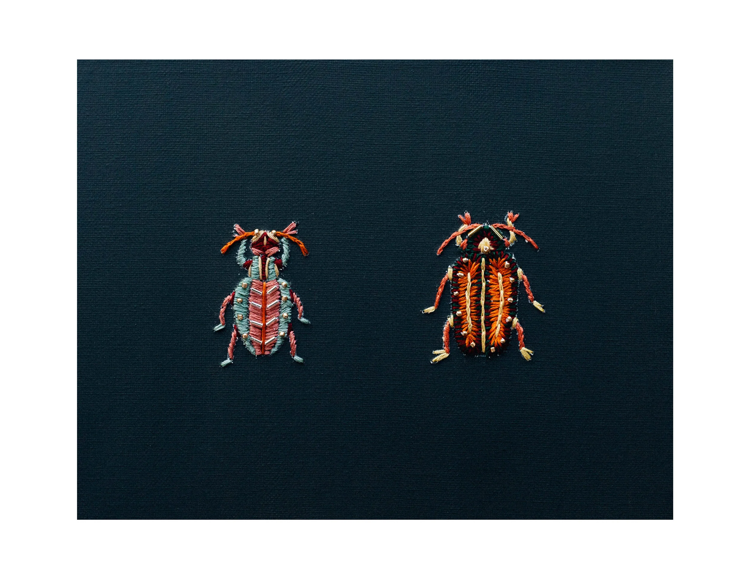 PRINT TROPICAL BEETLES.jpg