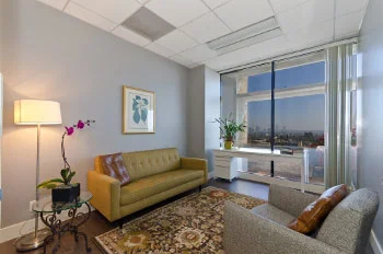 Office-with-a-view-at-1180-S-Beverly-Drive-Los-Angeles-CA.jpg
