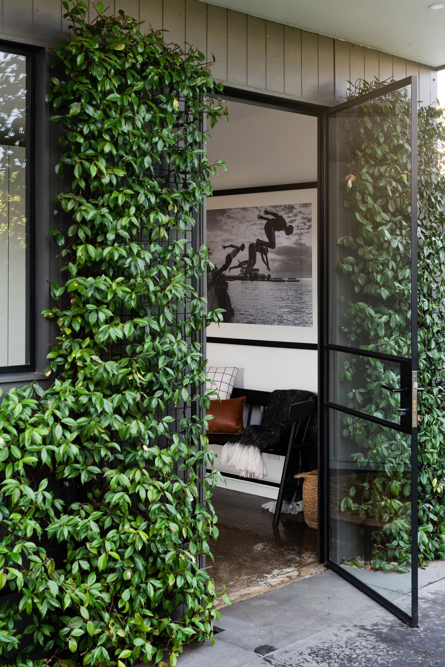 Private Residence Single Door And Steel Mesh Screen Allowing Vines To Grow