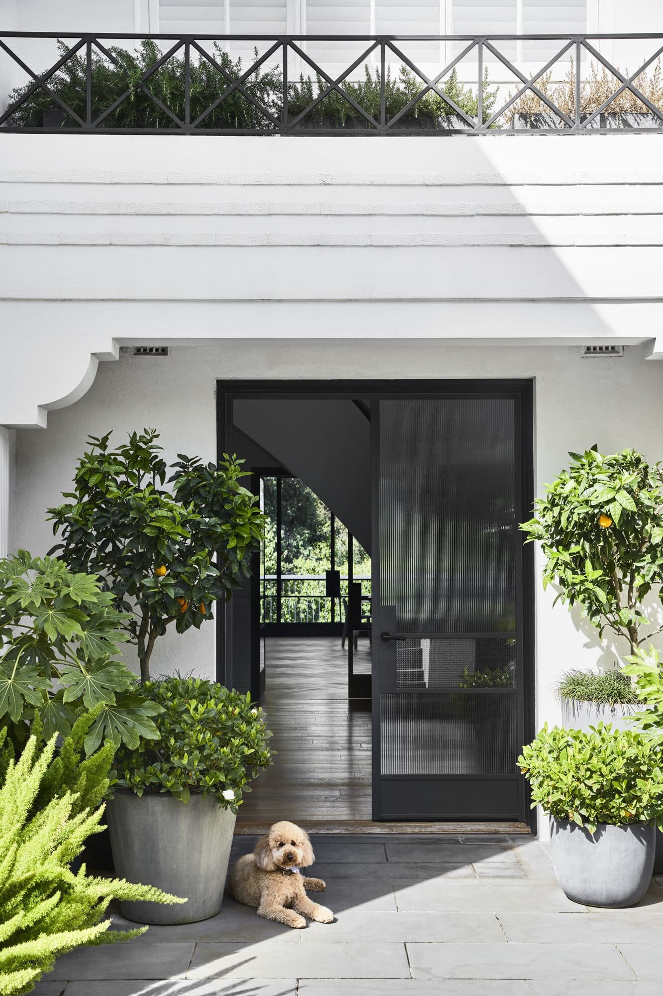 Double Doors With Reeded Glass And Steel Kick Plates