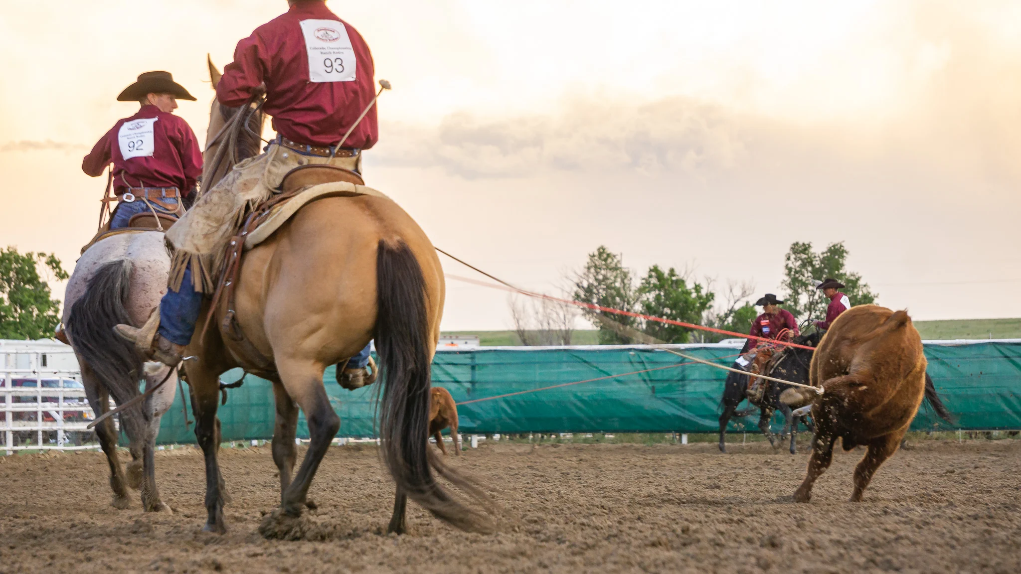 CCRR 2019-101.jpg