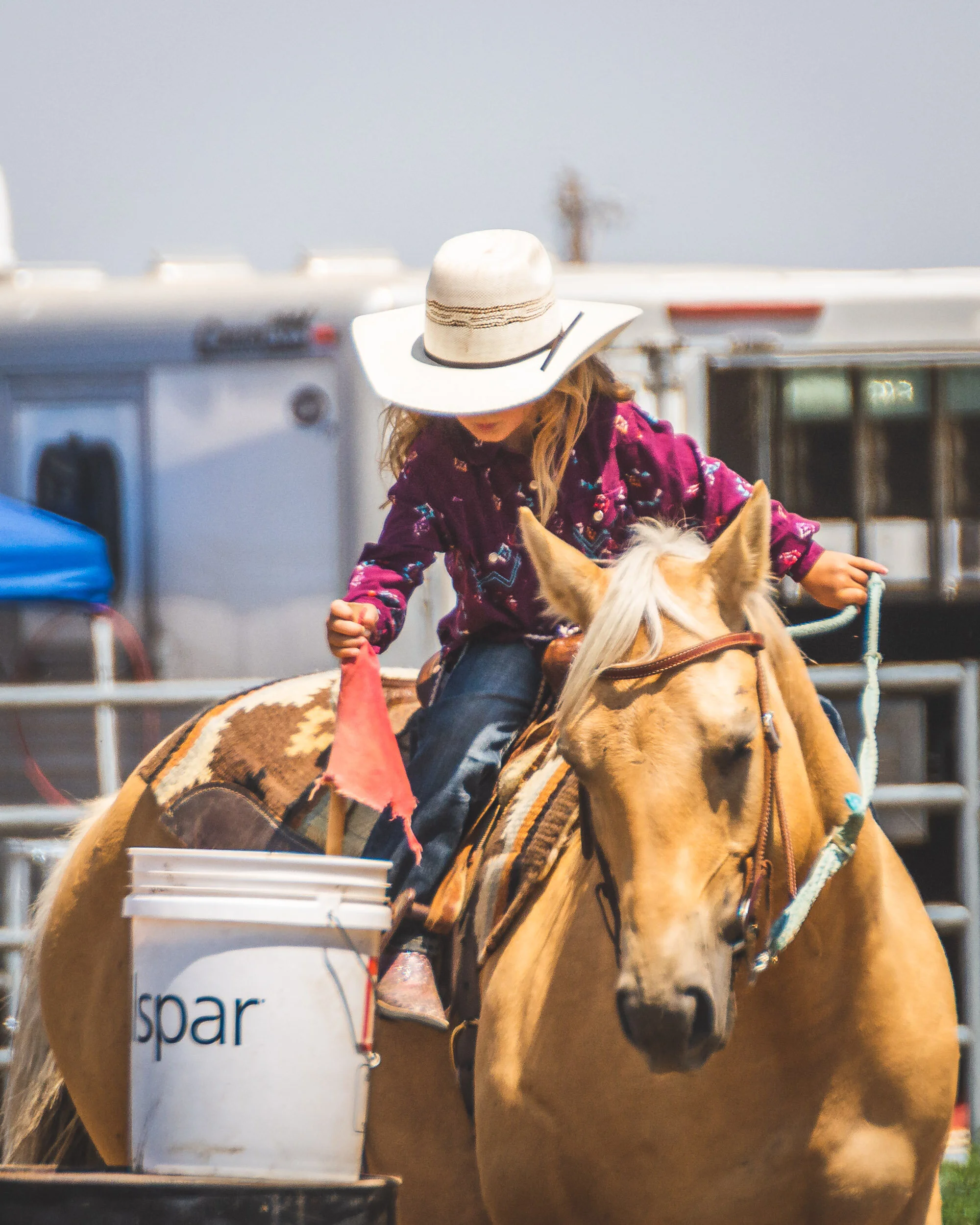 Rodeo-11.jpg