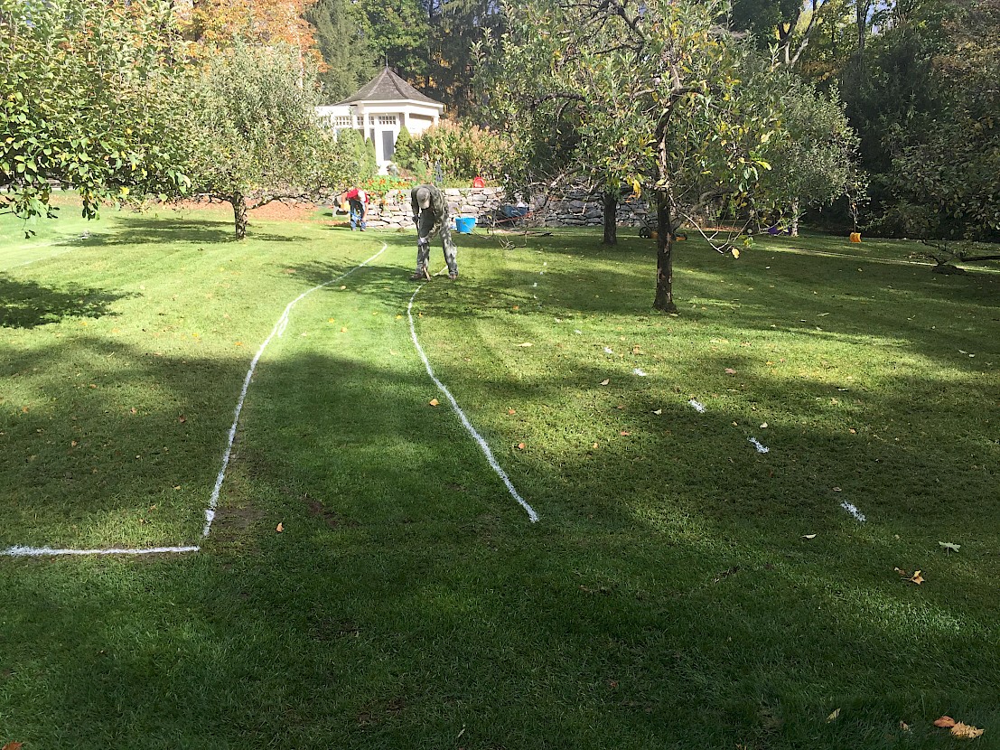 Lines Drawn