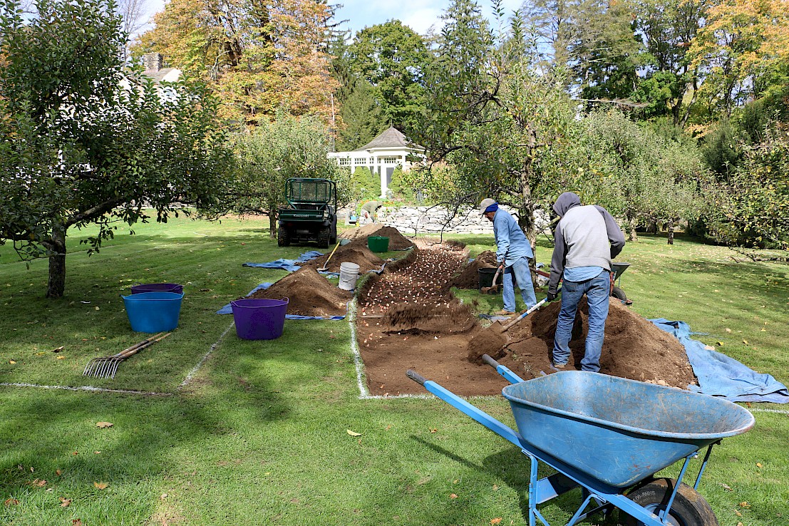 Bulbs Planted