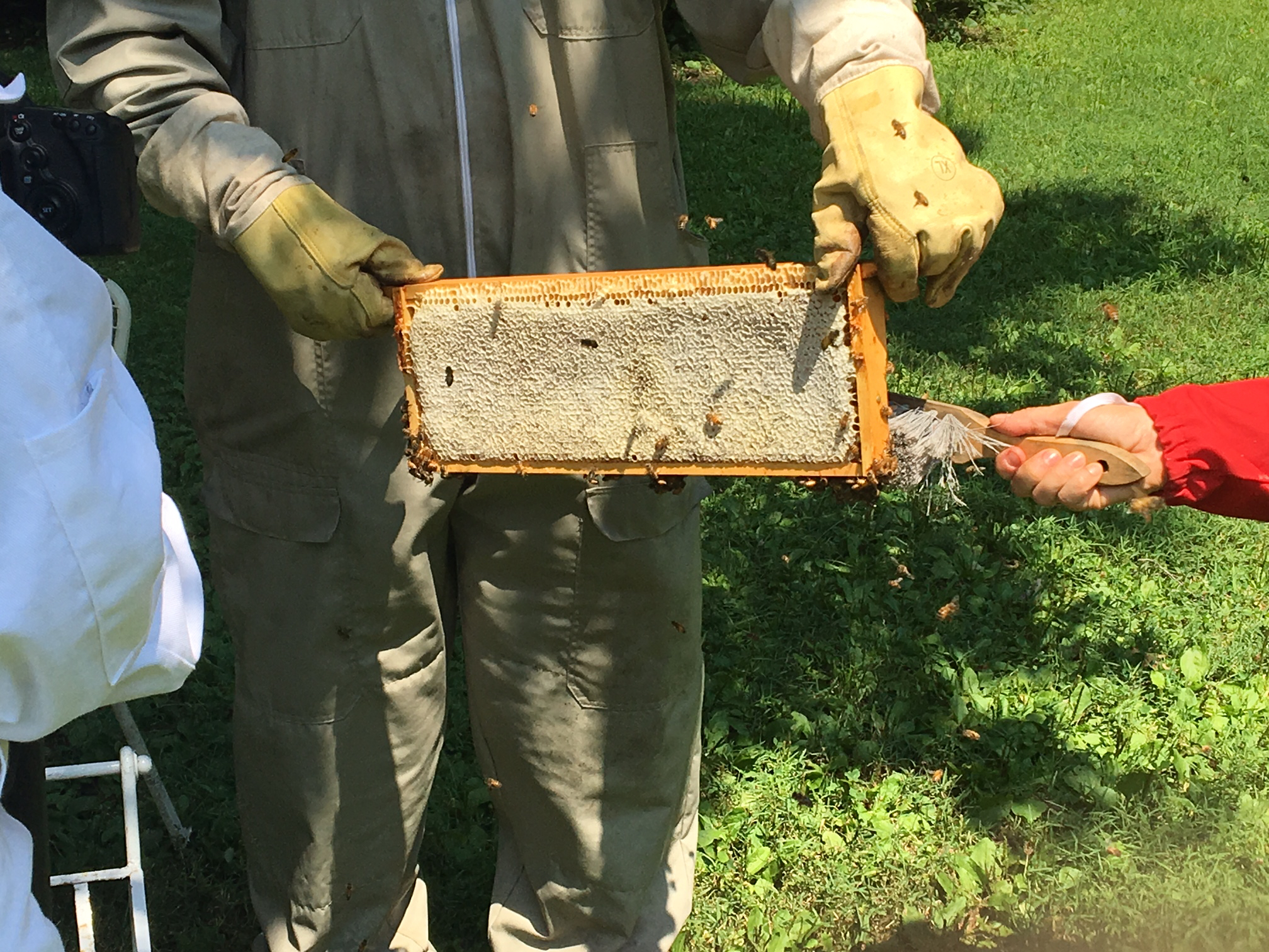 September is National Honey Month