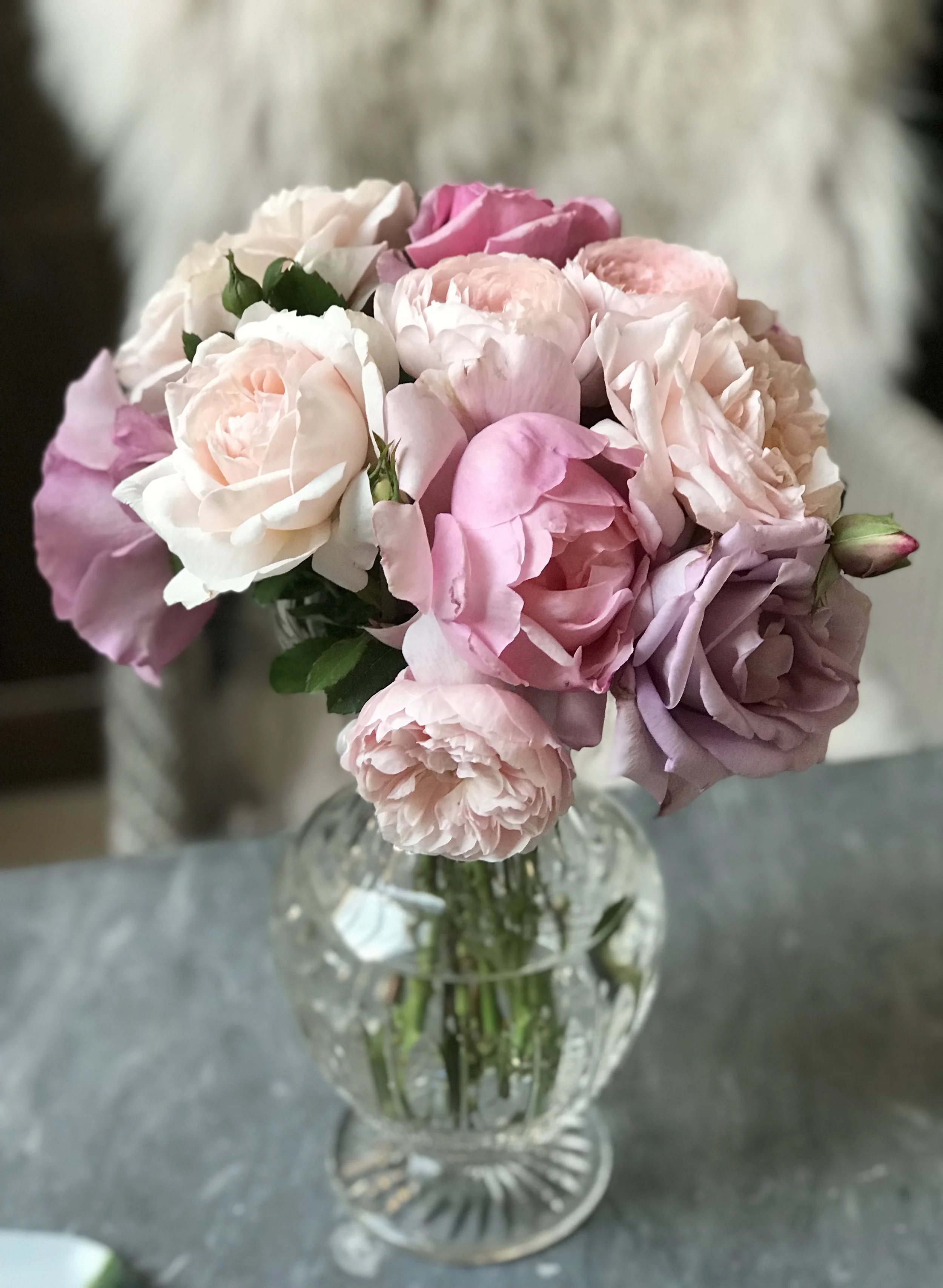 roses2.jpg