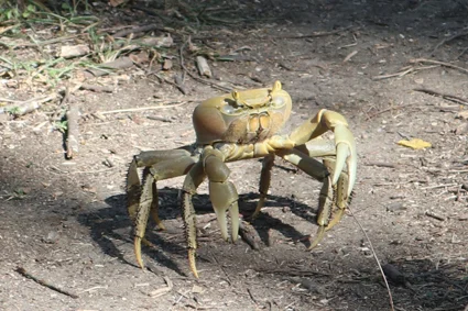 Not happy at being photographed