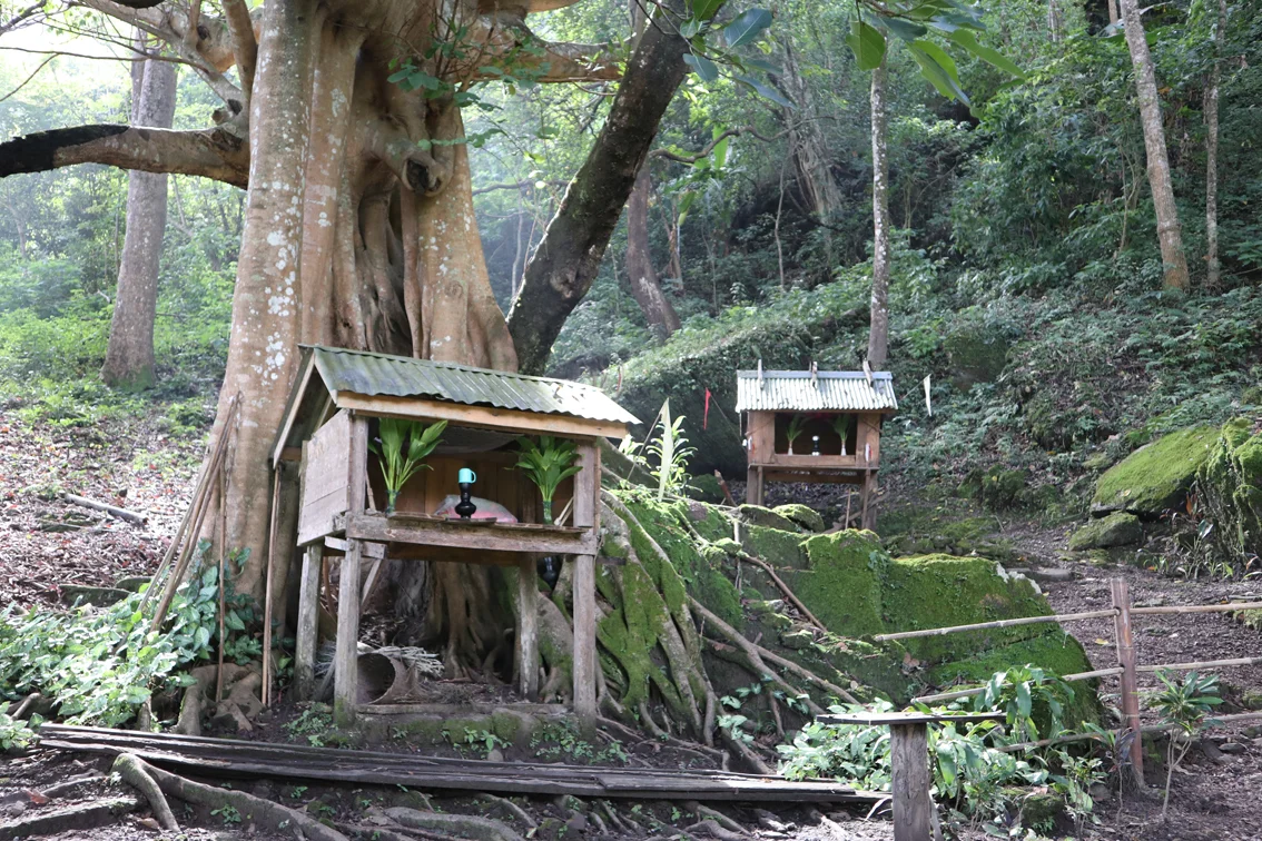 The villages all have these small shrines at the entrance - to the Nats, or spirit Gods. A bad Nat can bring horrible luck - NEVER pee under a tree, for example, or the Nat of that tree will get you for sure. But good Nats can protect you and your family. The little shrines contain food, beds, even a mosquito net for the Nats.
