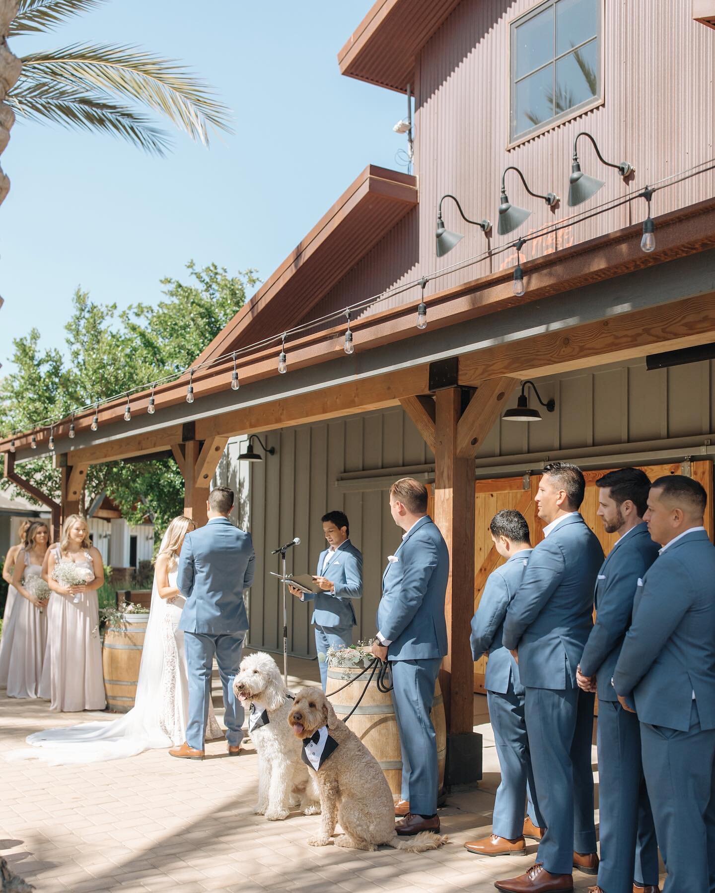 early summer with Melissa &amp; Randy and their adorable family🤍

#venturacountyphotographer #santabarbaraweddingphotographer #ojaiphotographer #venturaweddingphotographer #santabarbaraphotographer #californiaweddingphotographer #venturacountyweddin