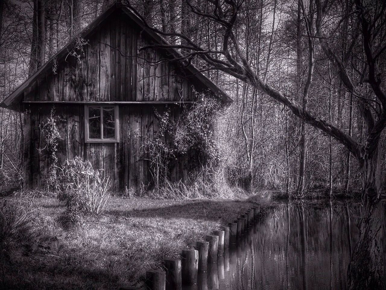 iMAGE BY THOMASWOLTER ON PIXABAY.COM