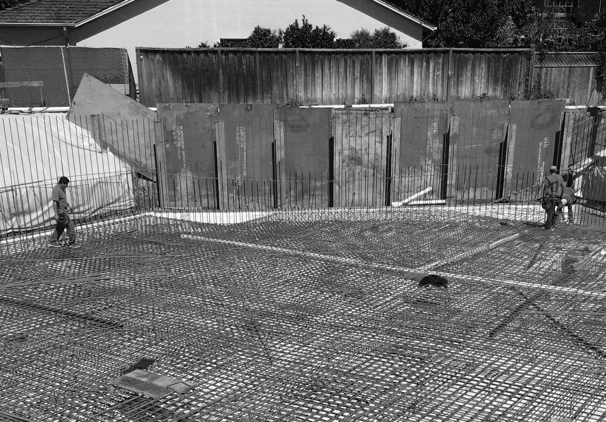 IMG_2689_fn_bw.jpg