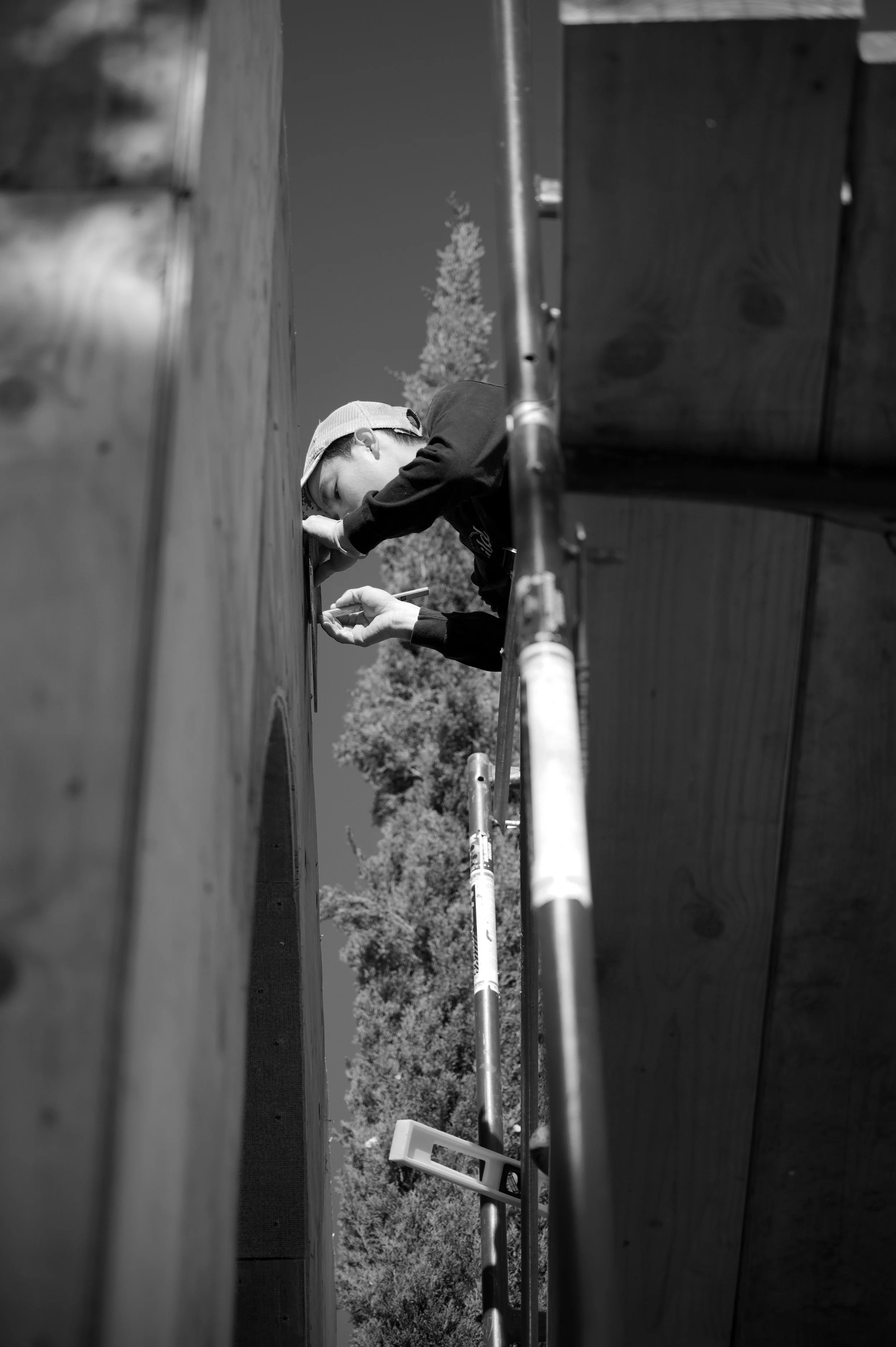 DSC_0806.jpg