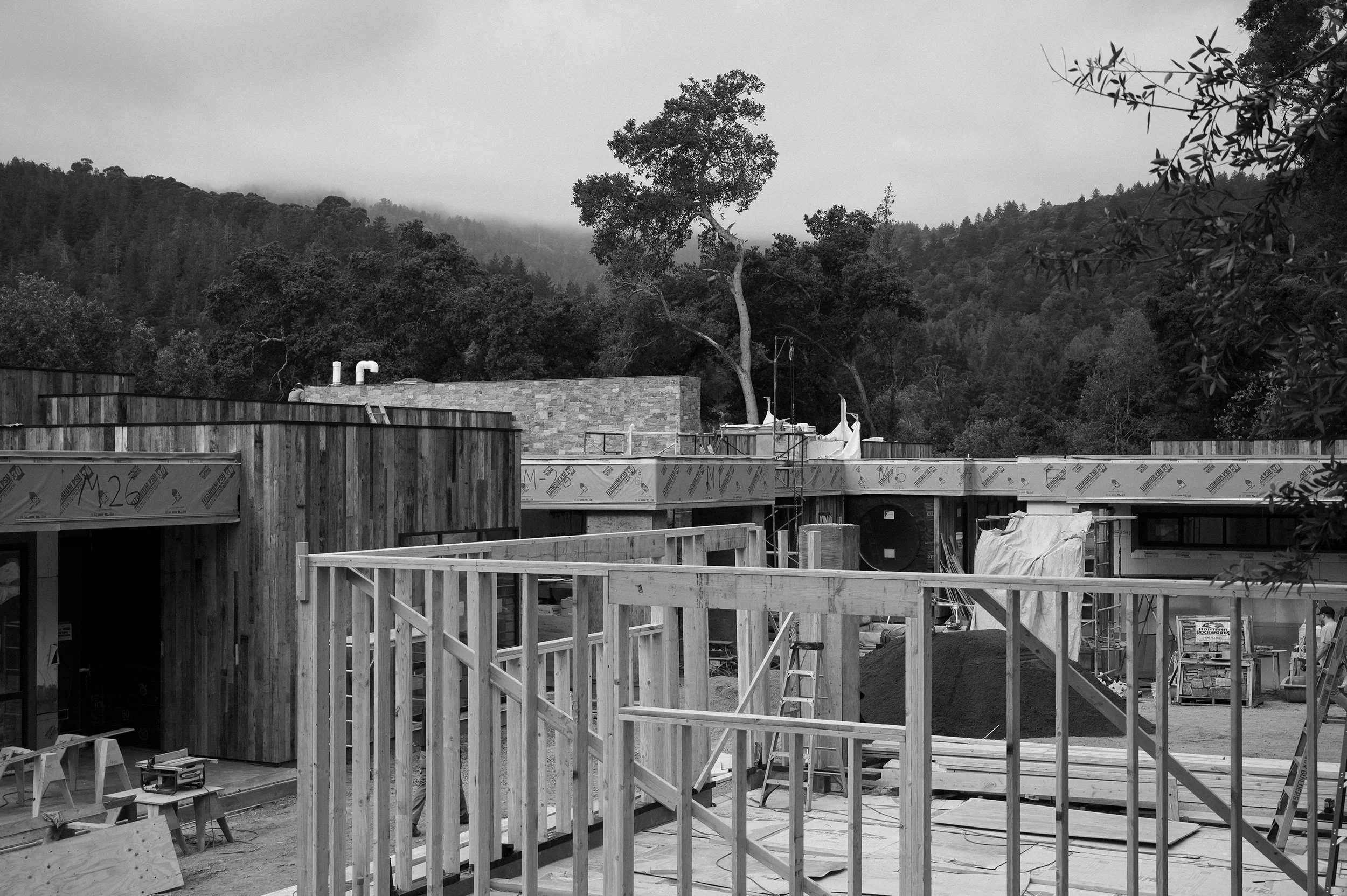 DSC_1454.jpg