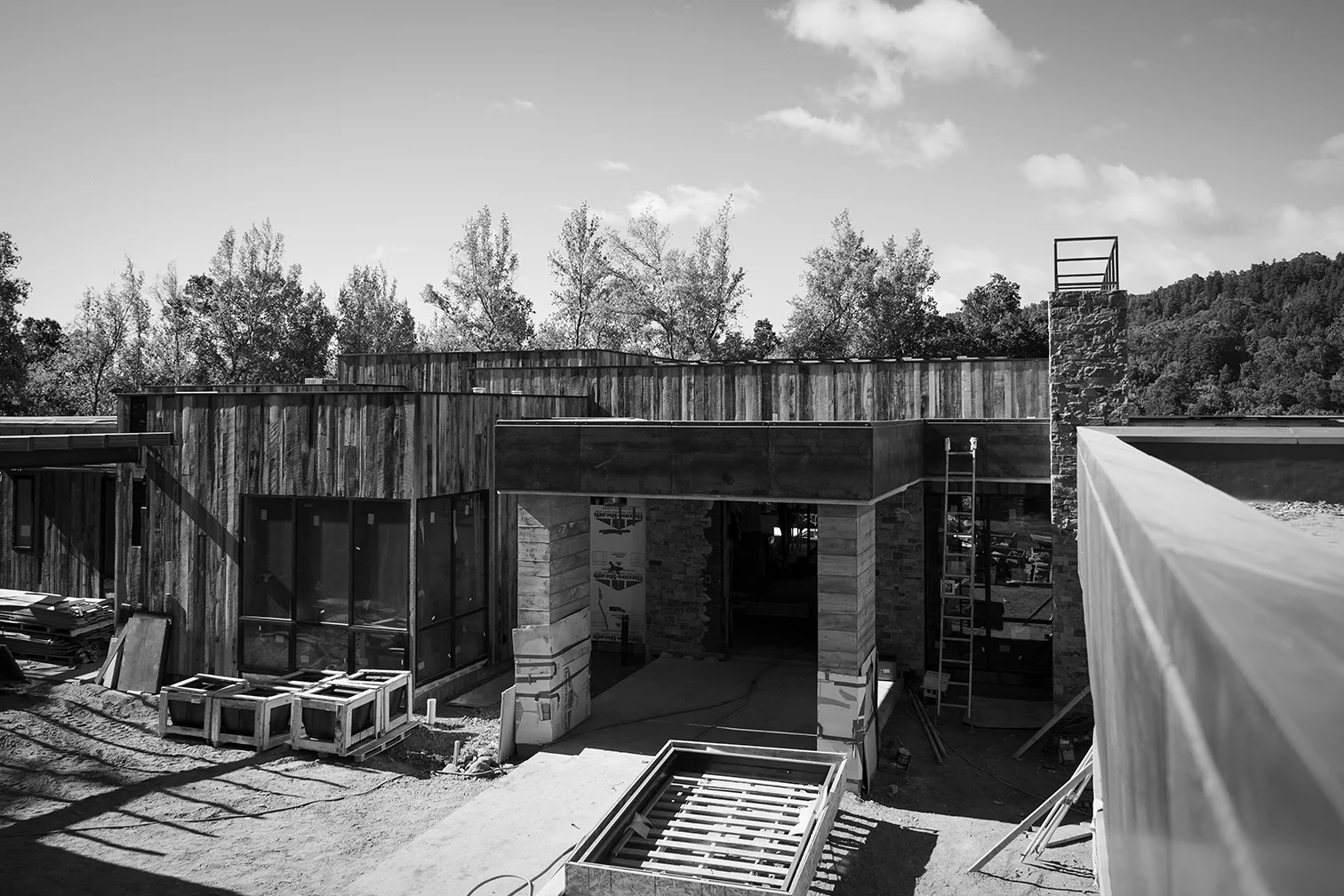 DSC_2291_bw.jpg