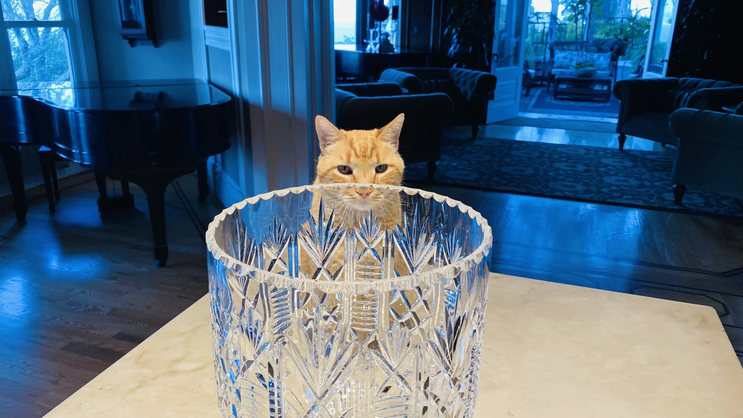 me too vase.jpg