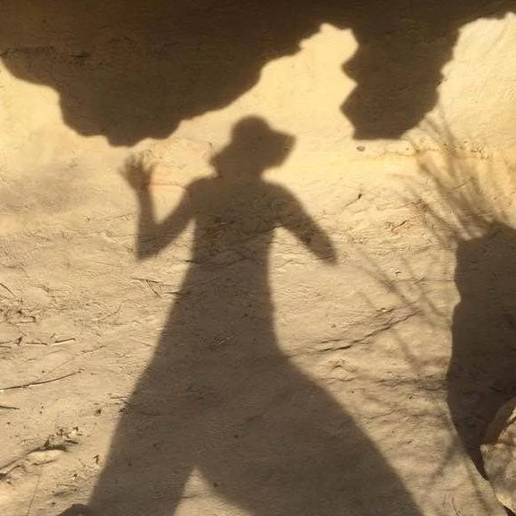 The Shadow Self