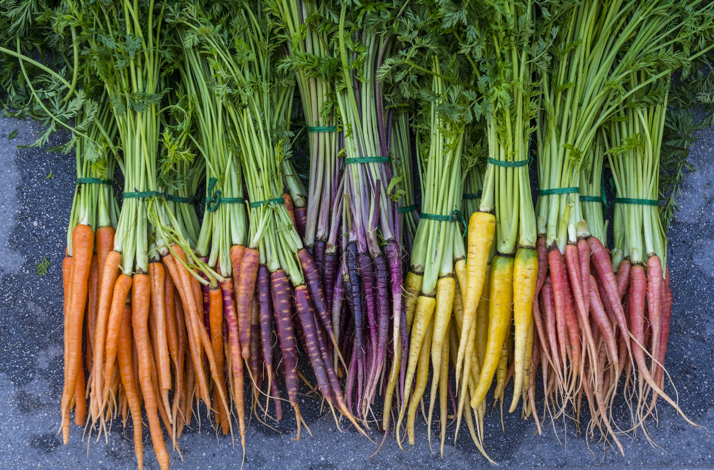 carrots.JPG