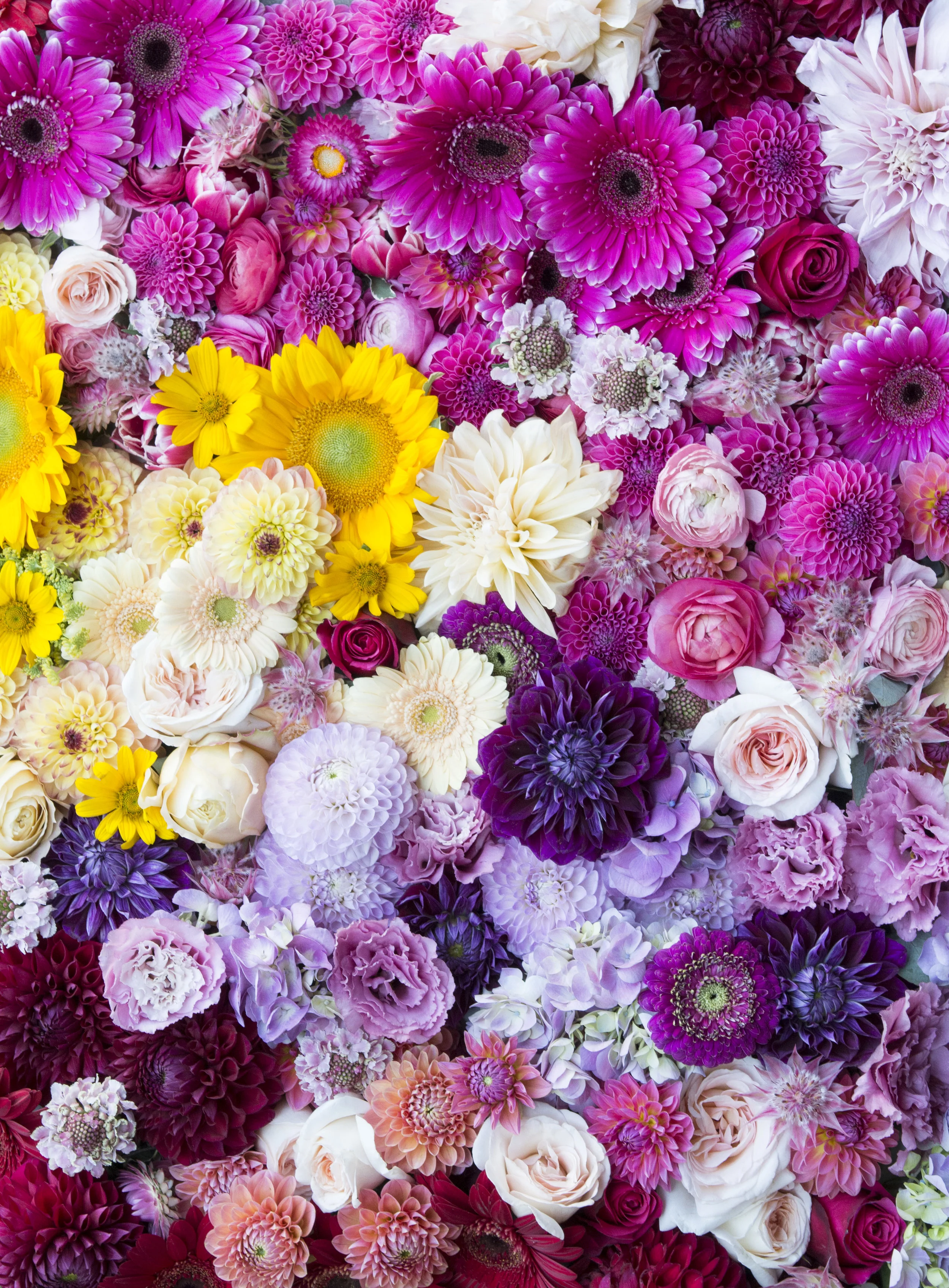 all of the floewrs_2 YES.JPG