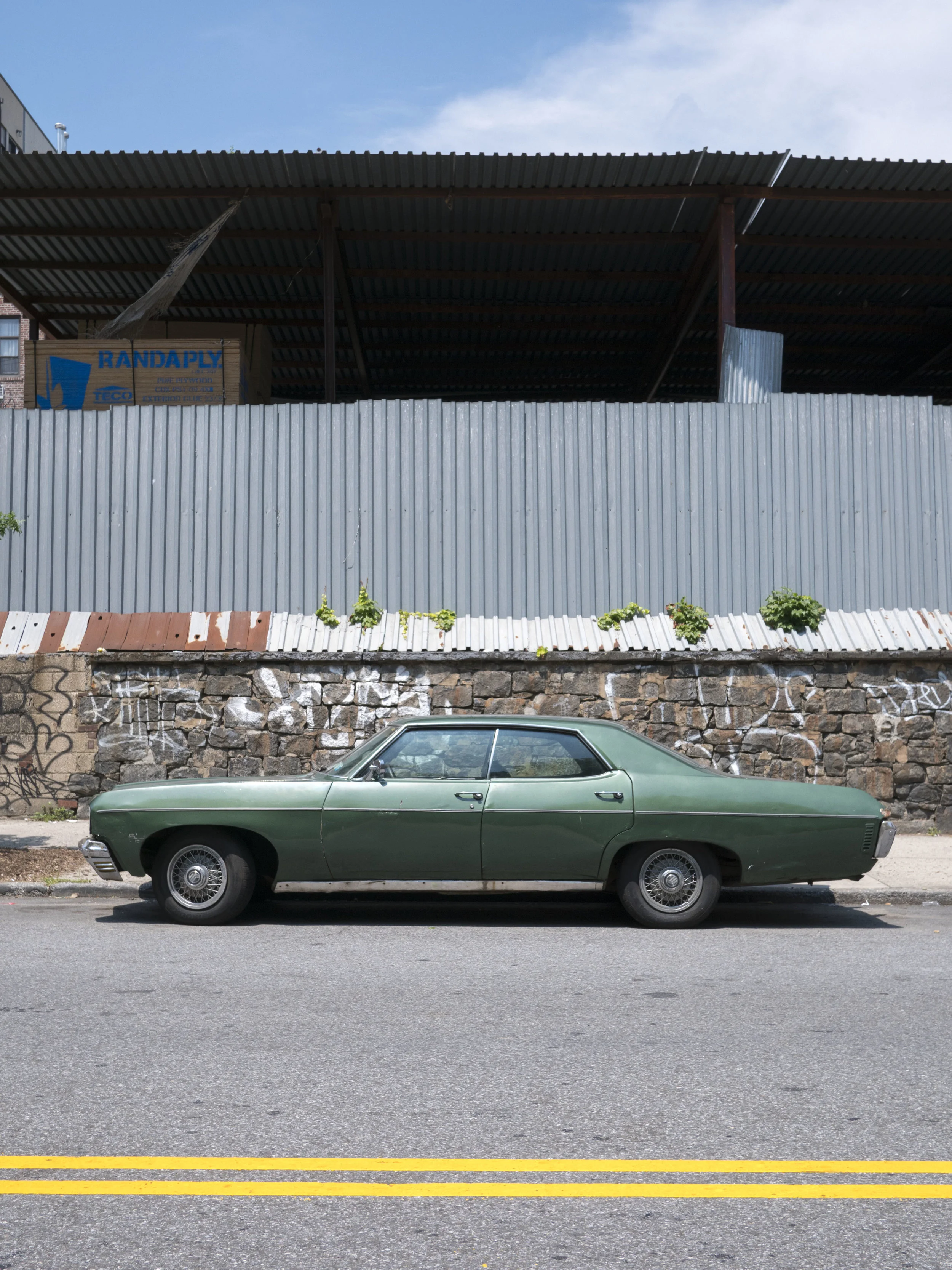 P1011434.jpg