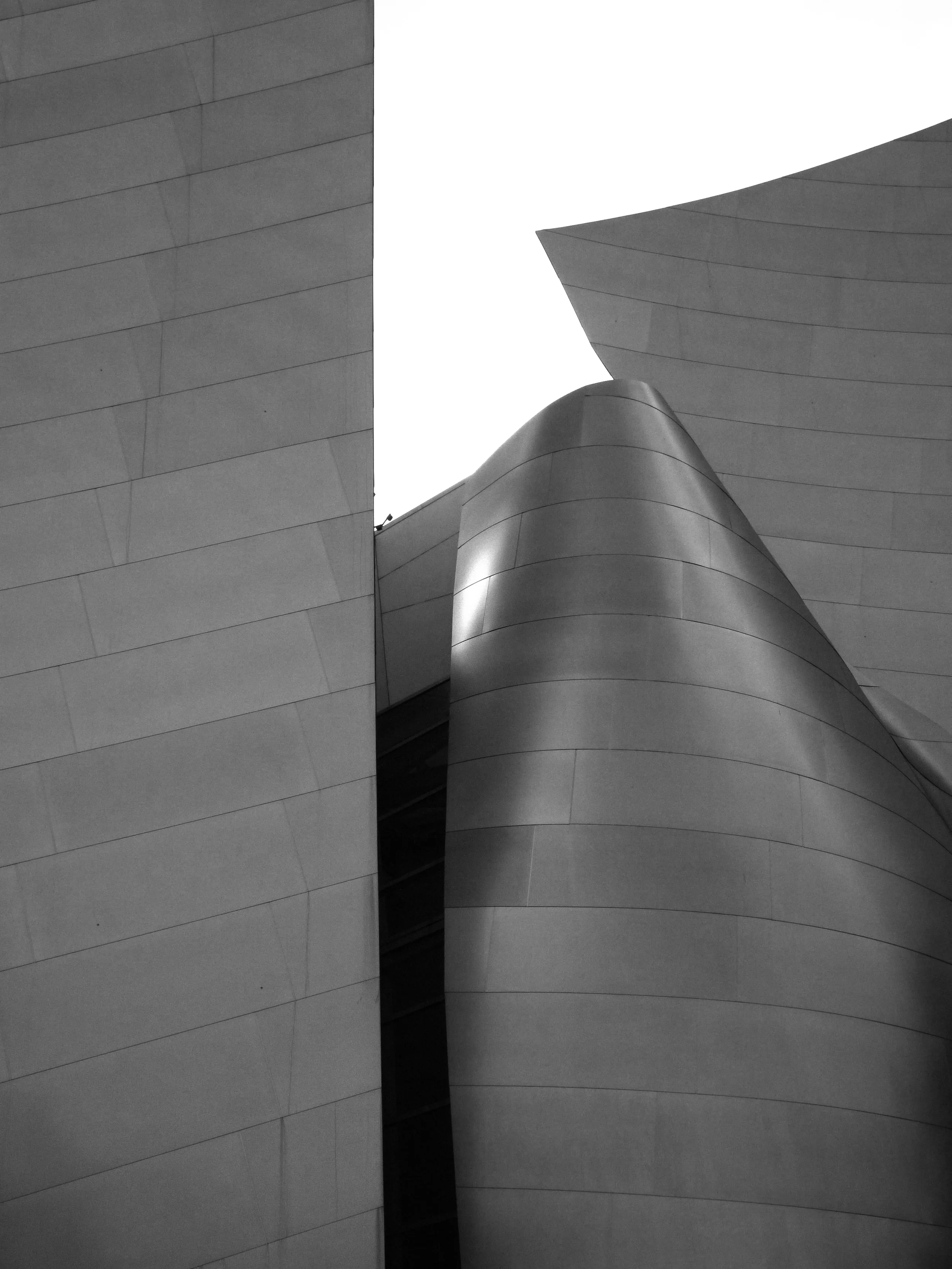 _1110945.JPG