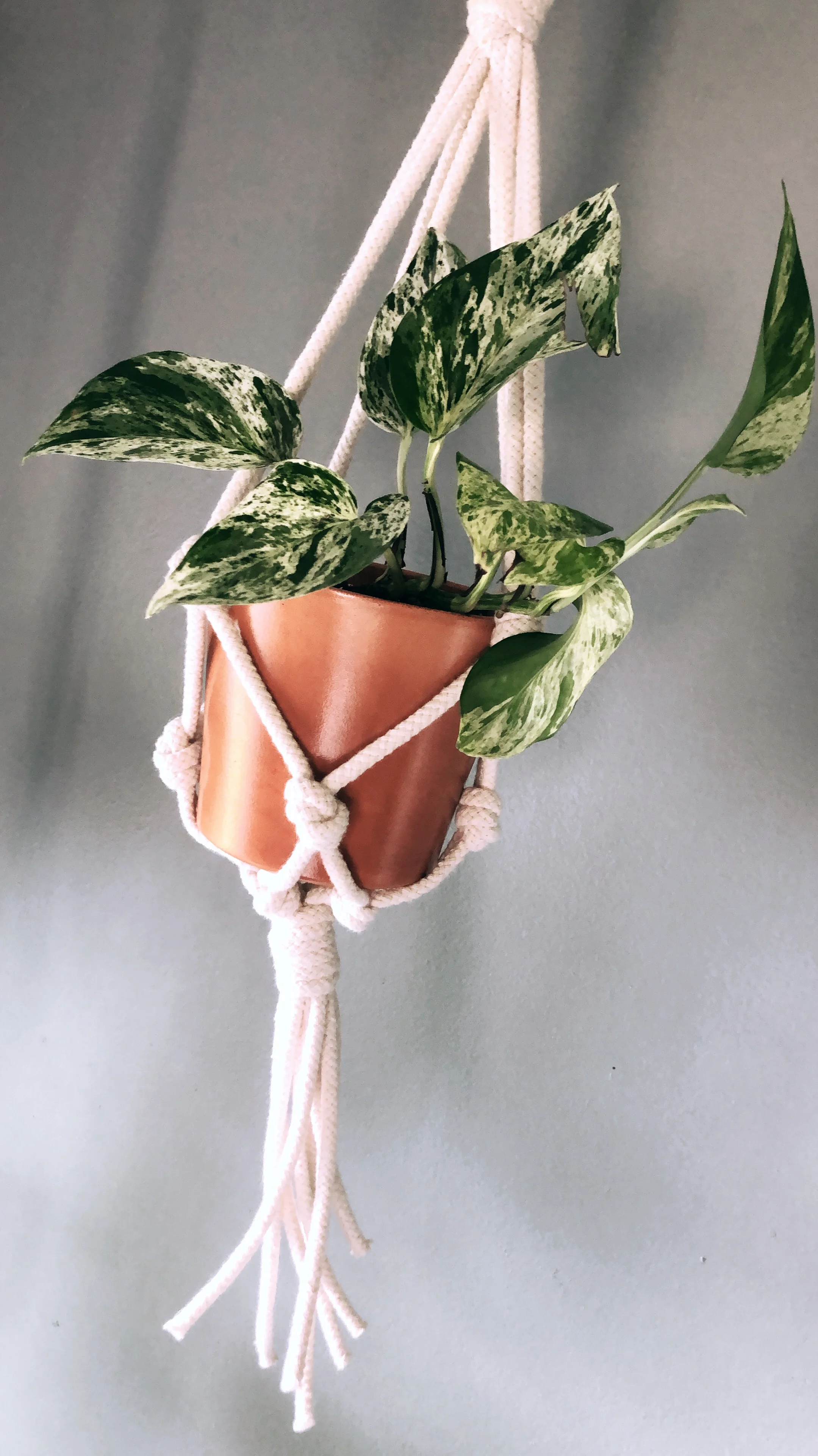 6EA5FE52-B6E8-4A51-9622-E5E6A52B13CE