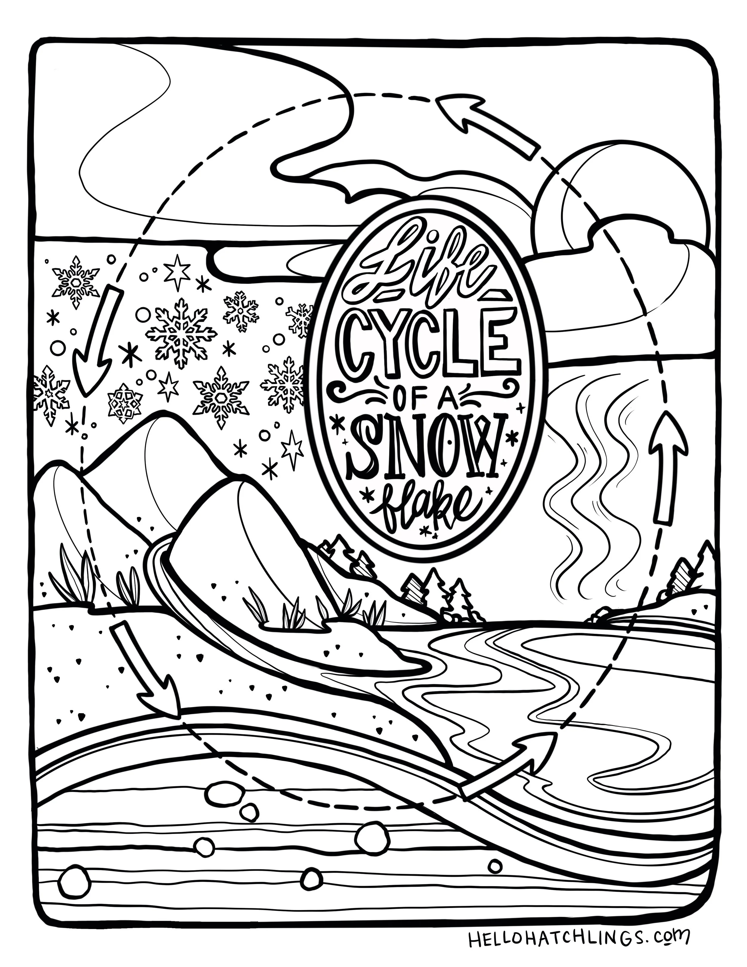 Untitled_Artwork 14.jpg