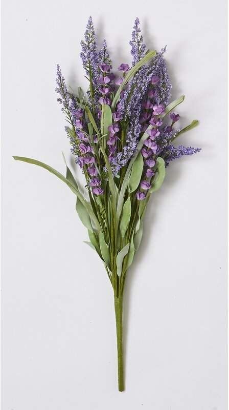 Lavender Flower Bush.jpeg