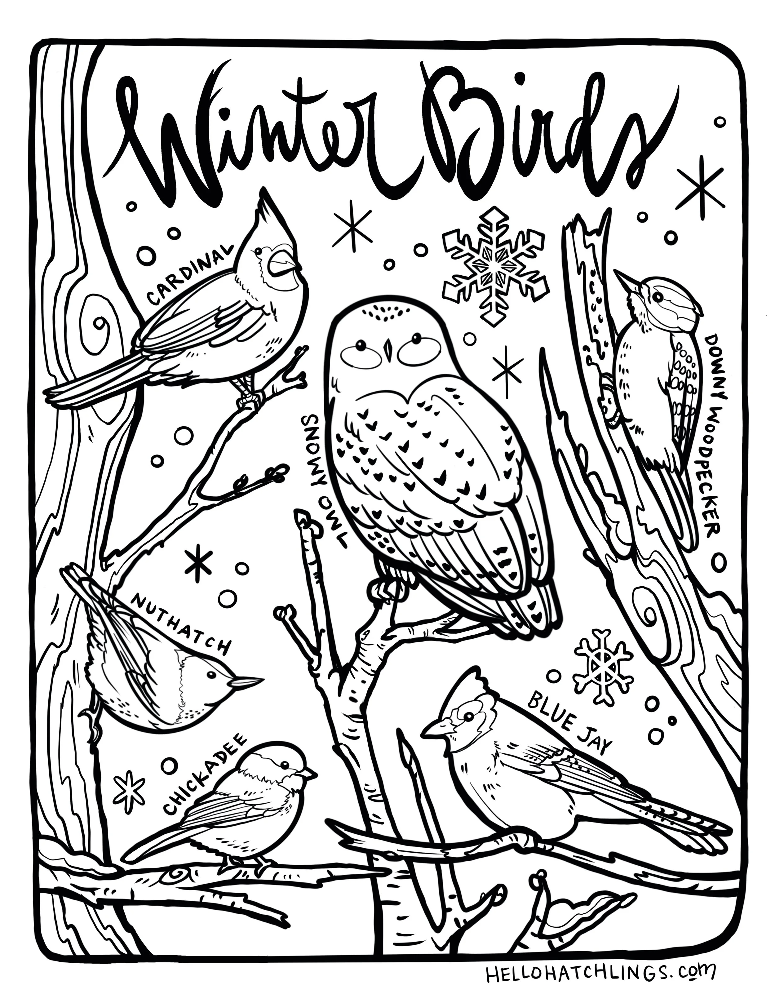 Coloring Pages