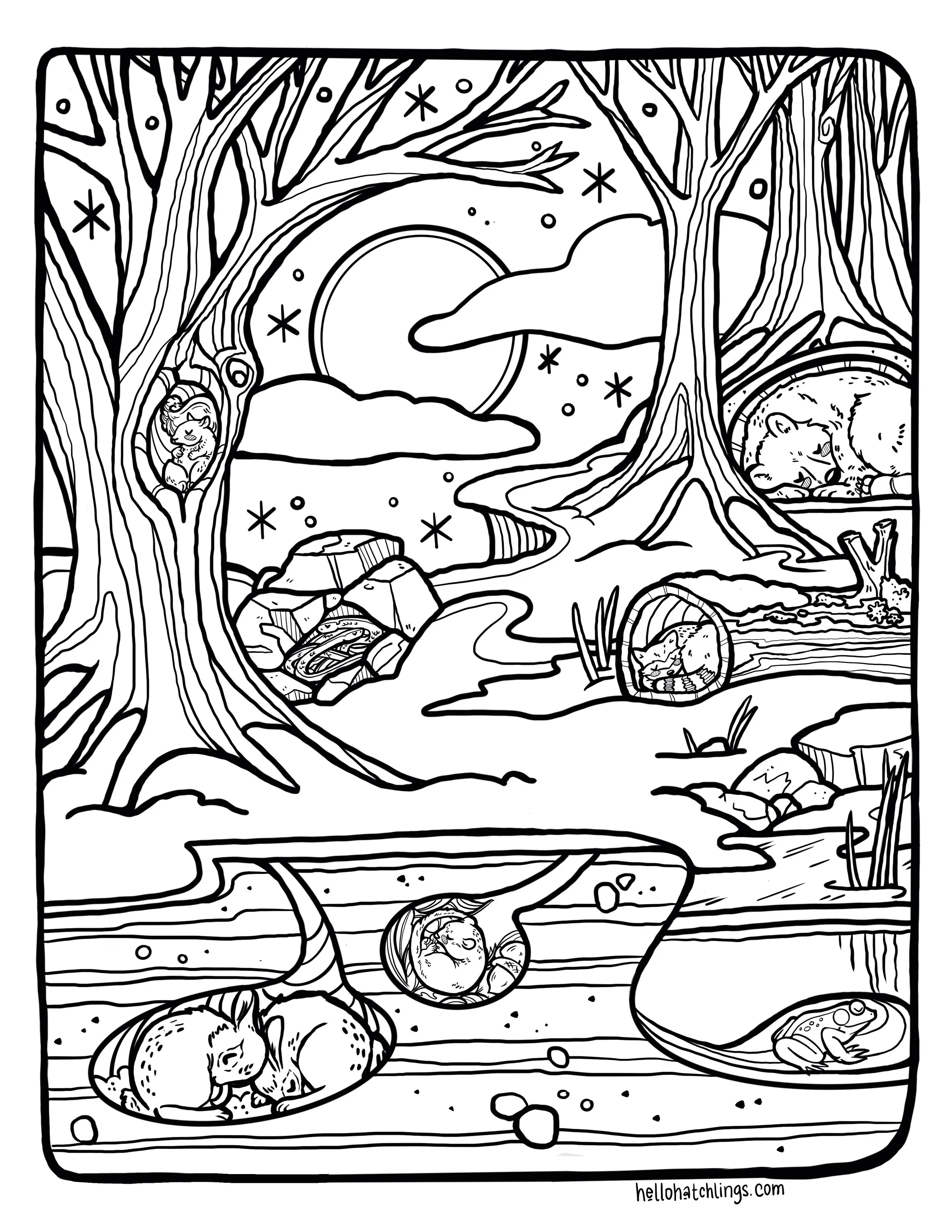 Untitled_Artwork 17.jpg