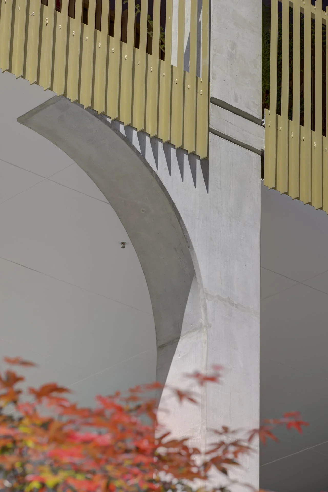 JUDD_Boulevard_003829.JPG